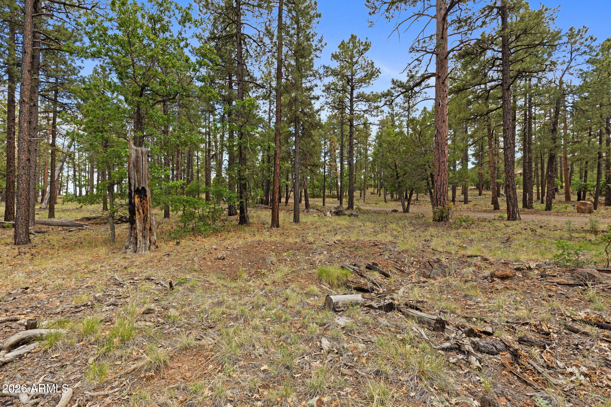1628 CANYON VIEW Loop 27