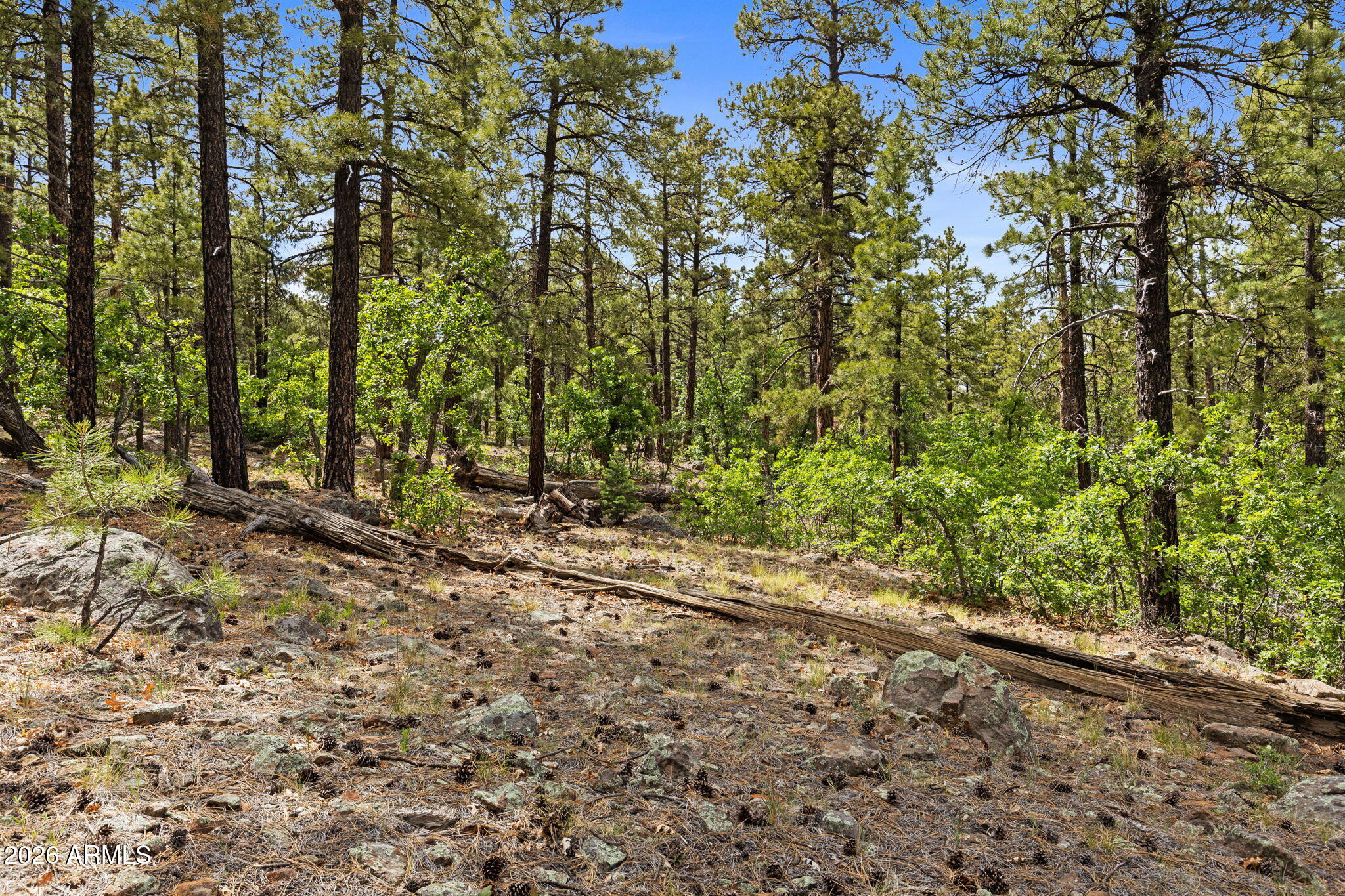 1628 CANYON VIEW Loop 27