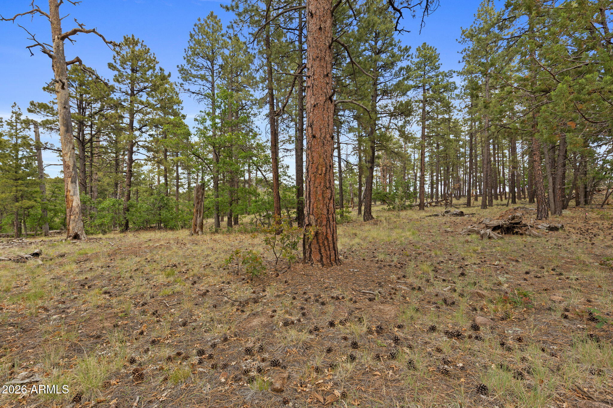 1628 CANYON VIEW Loop 27