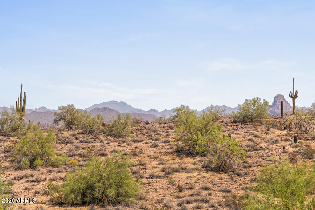 10827 N SONORA Vista
