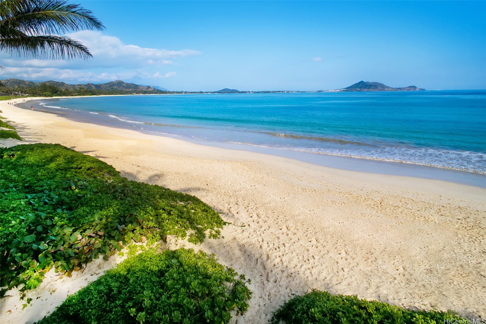 200 S Kalaheo Avenue