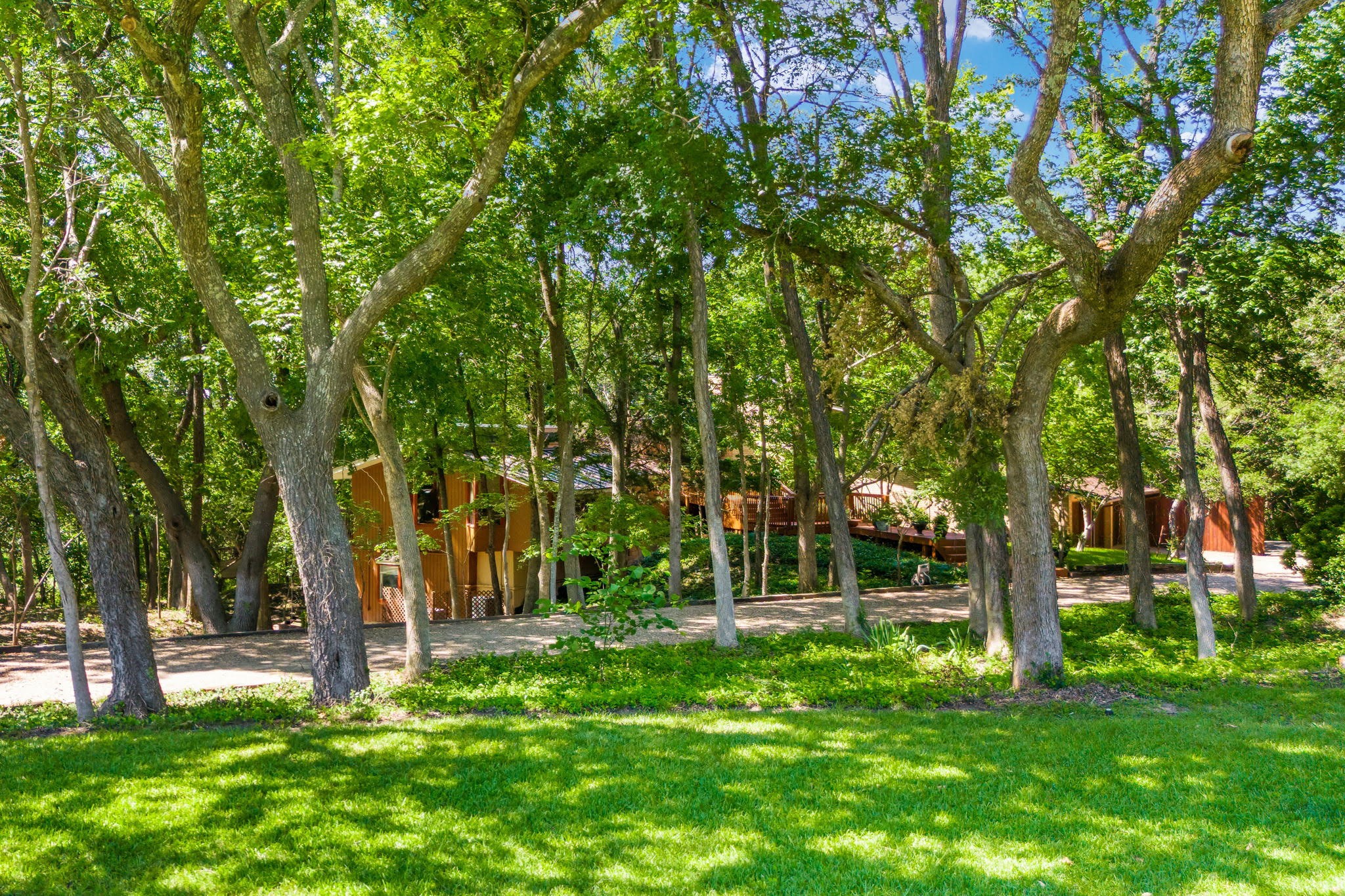 1311 Red Oak Trail