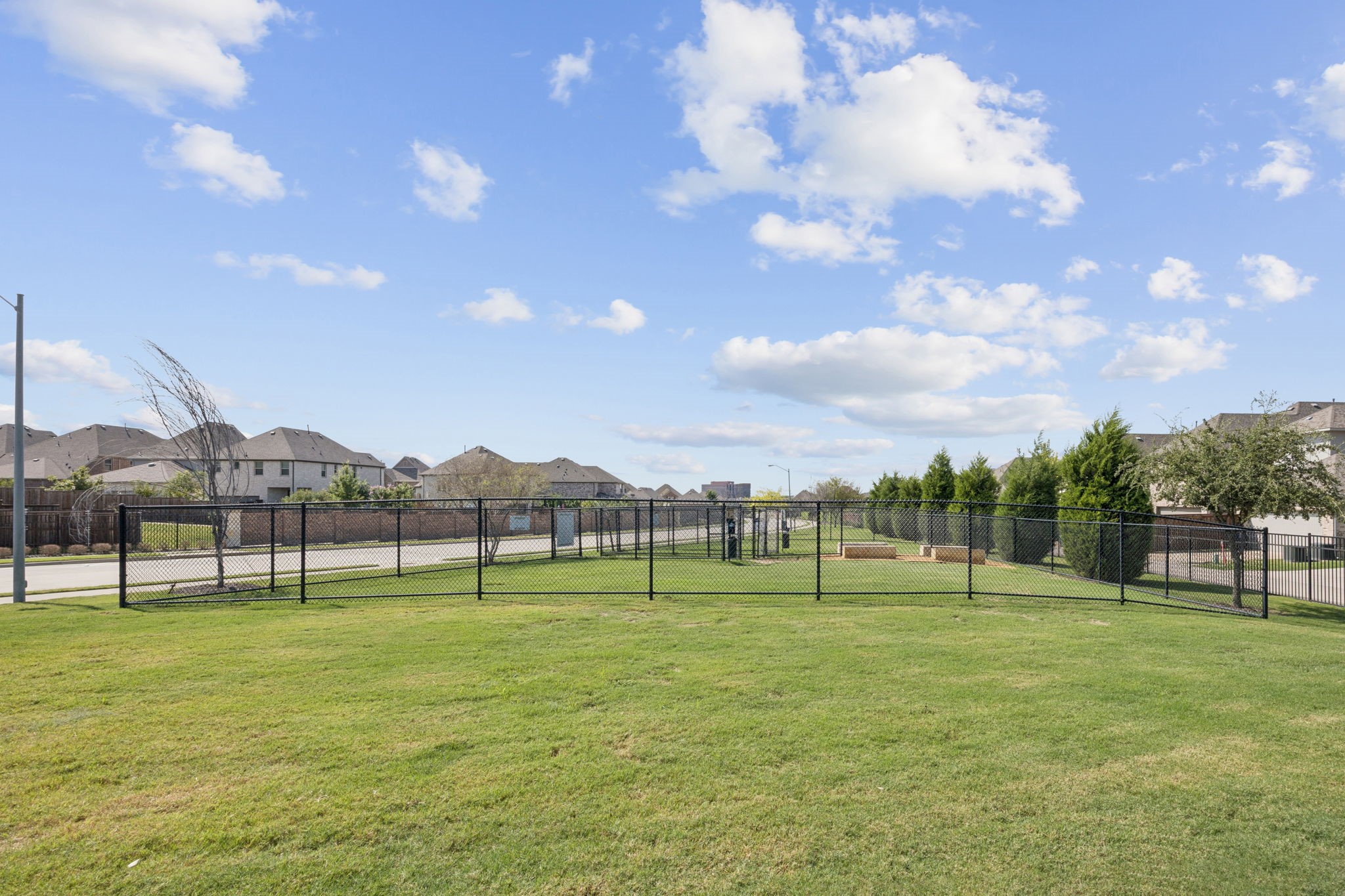 17704 Shumard Oak Drive