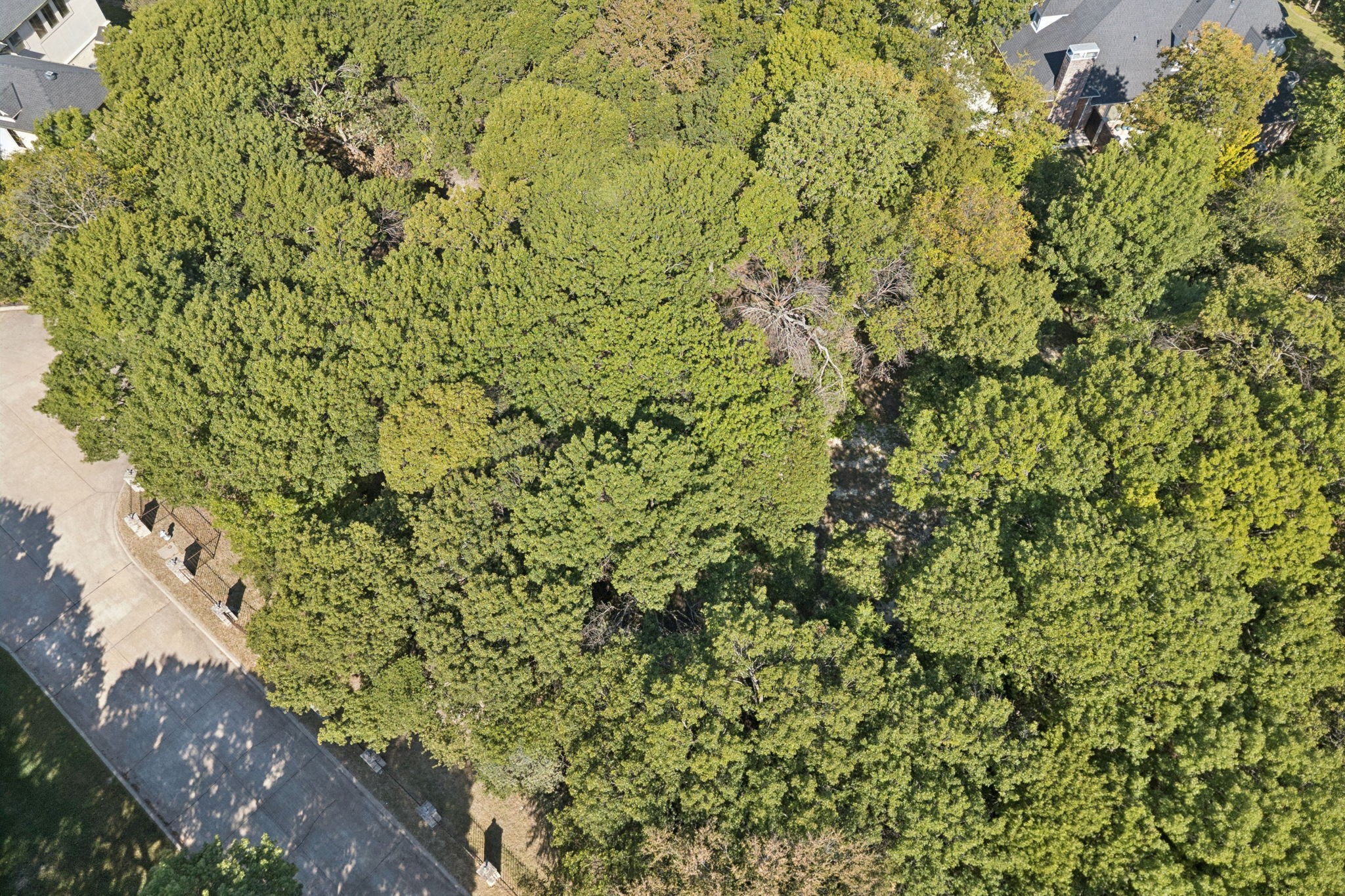 811 Shady Brook Lane