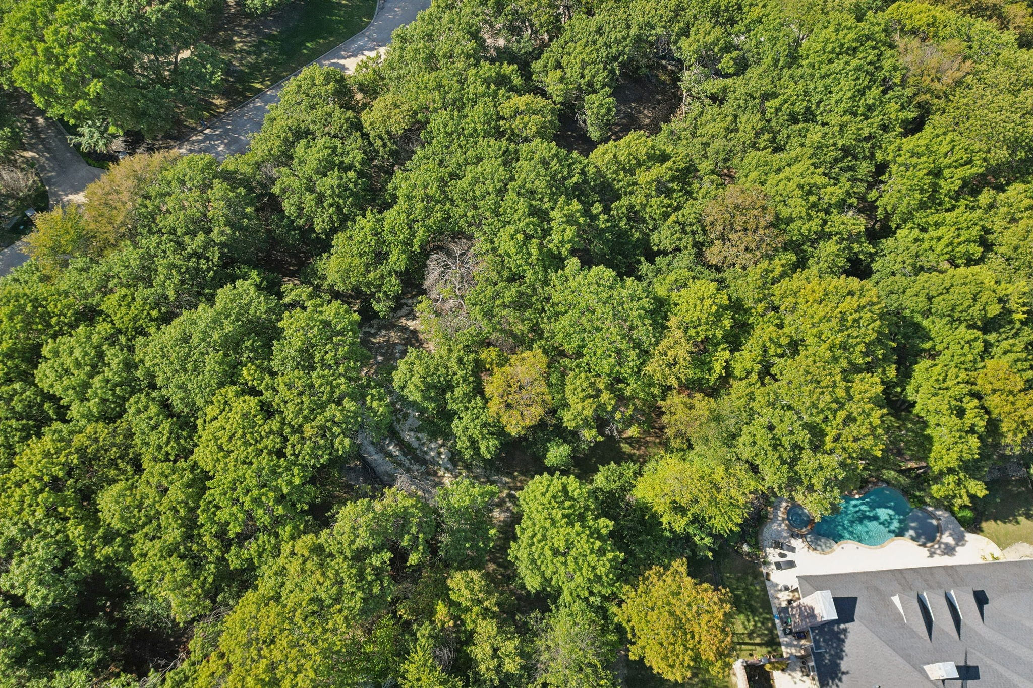 811 Shady Brook Lane