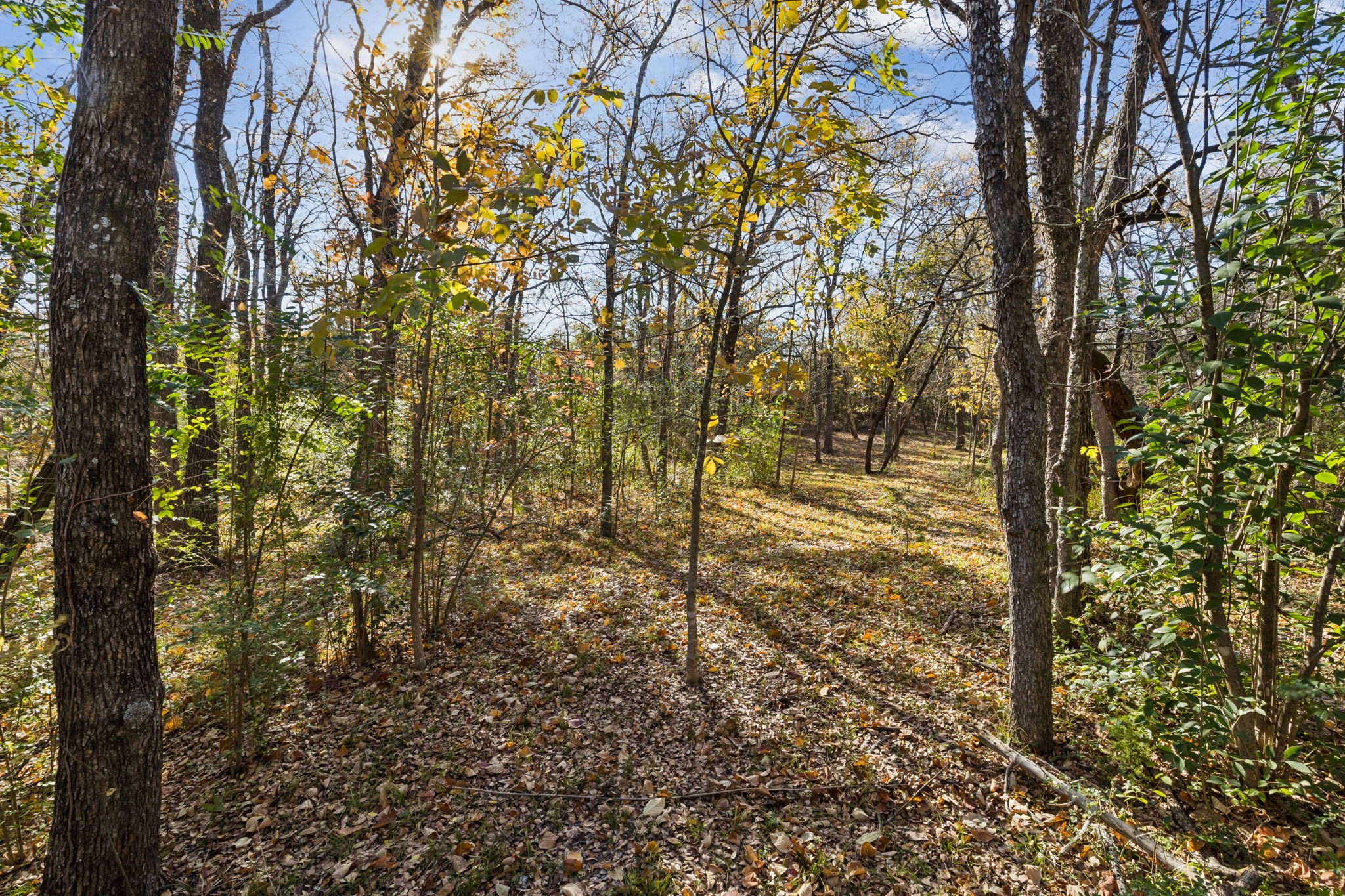 725 Stinson Road