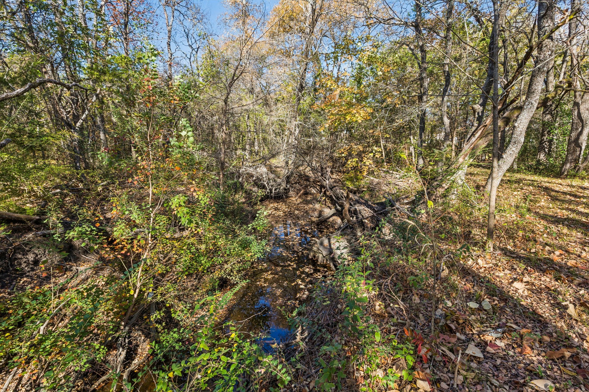 725-B Stinson Road