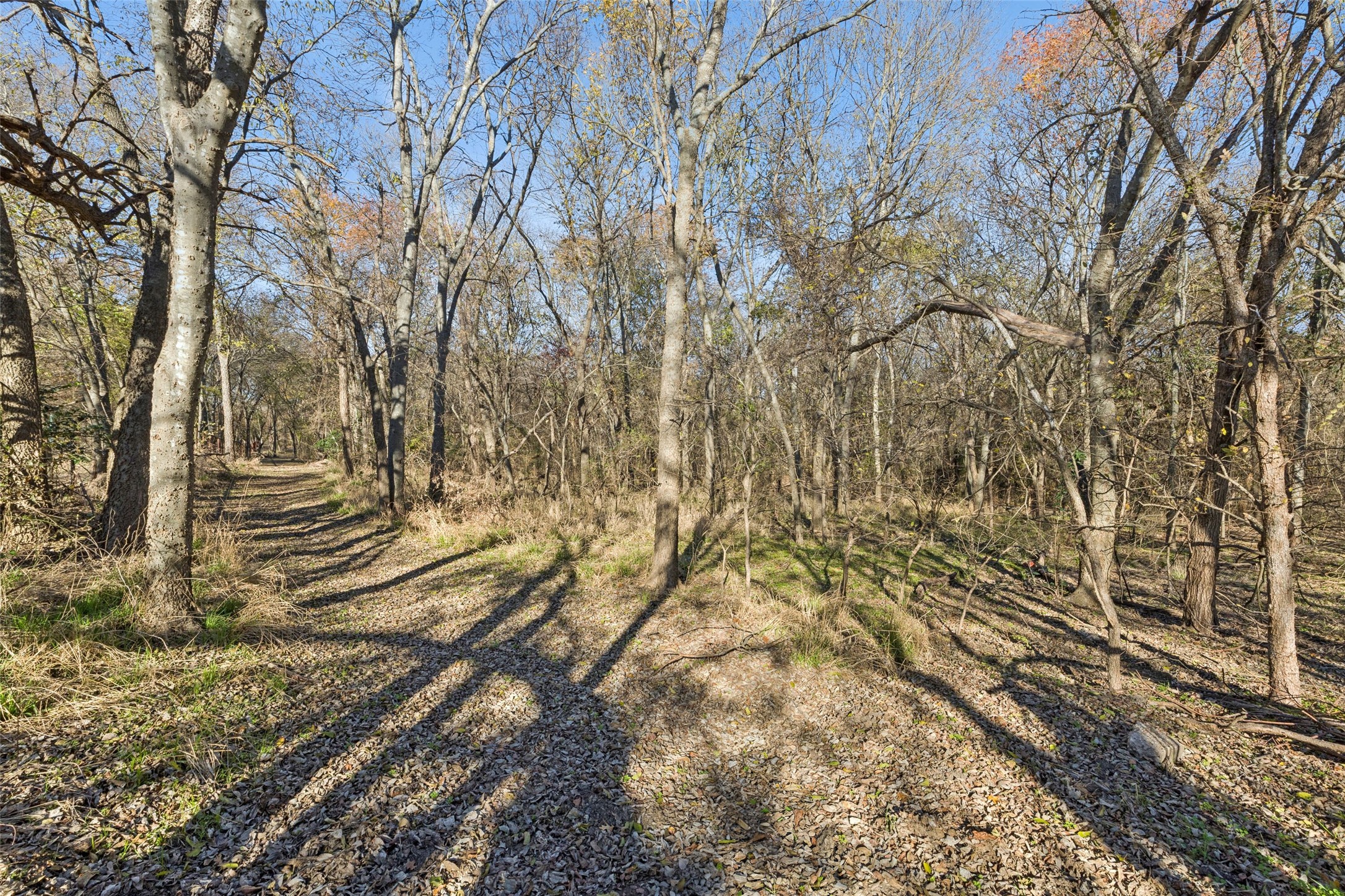 3580 Orr Road