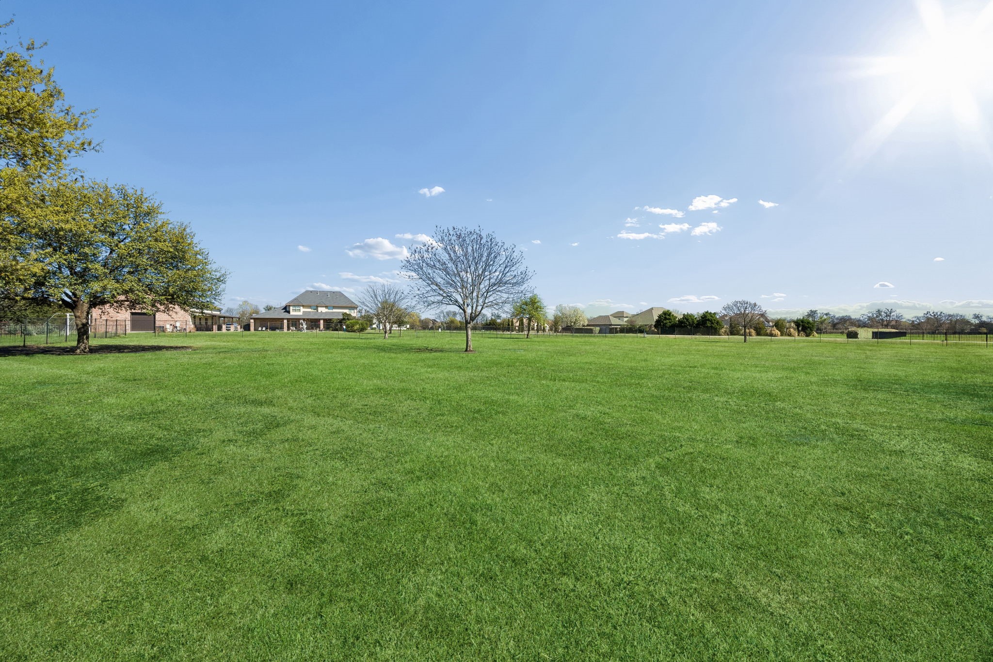 655 Palomino Drive
