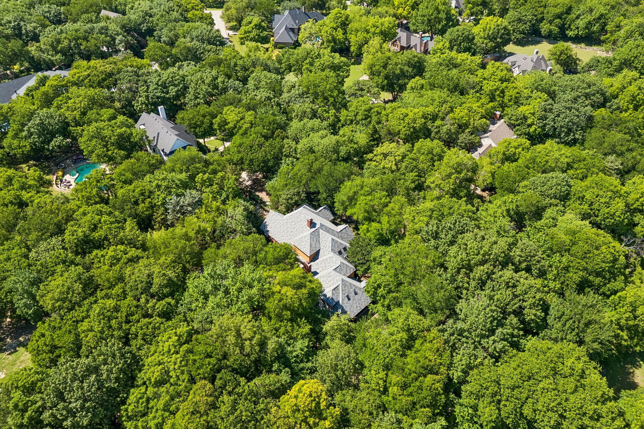 950 Willow Court