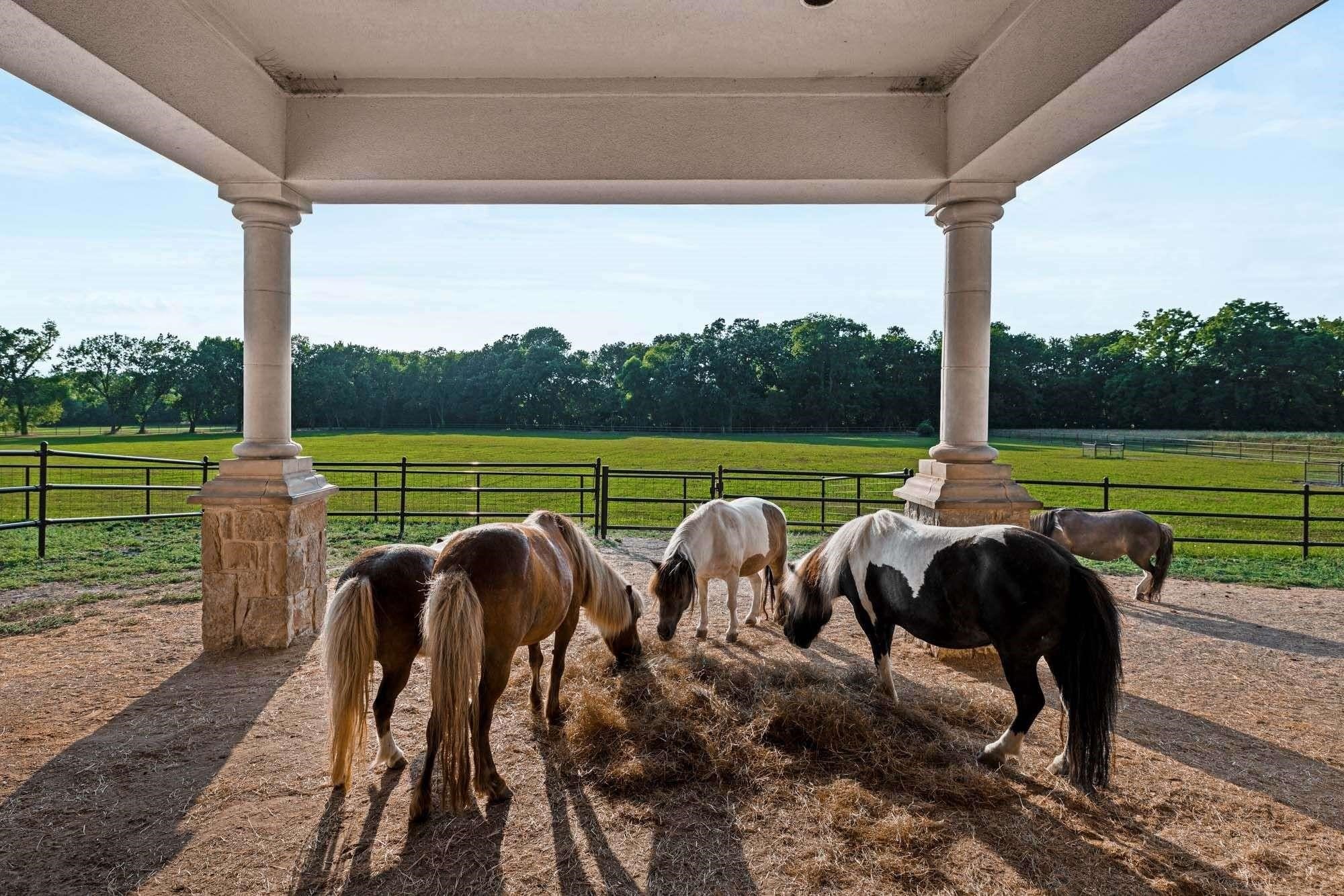 2115 Paradise Ranch Trail
