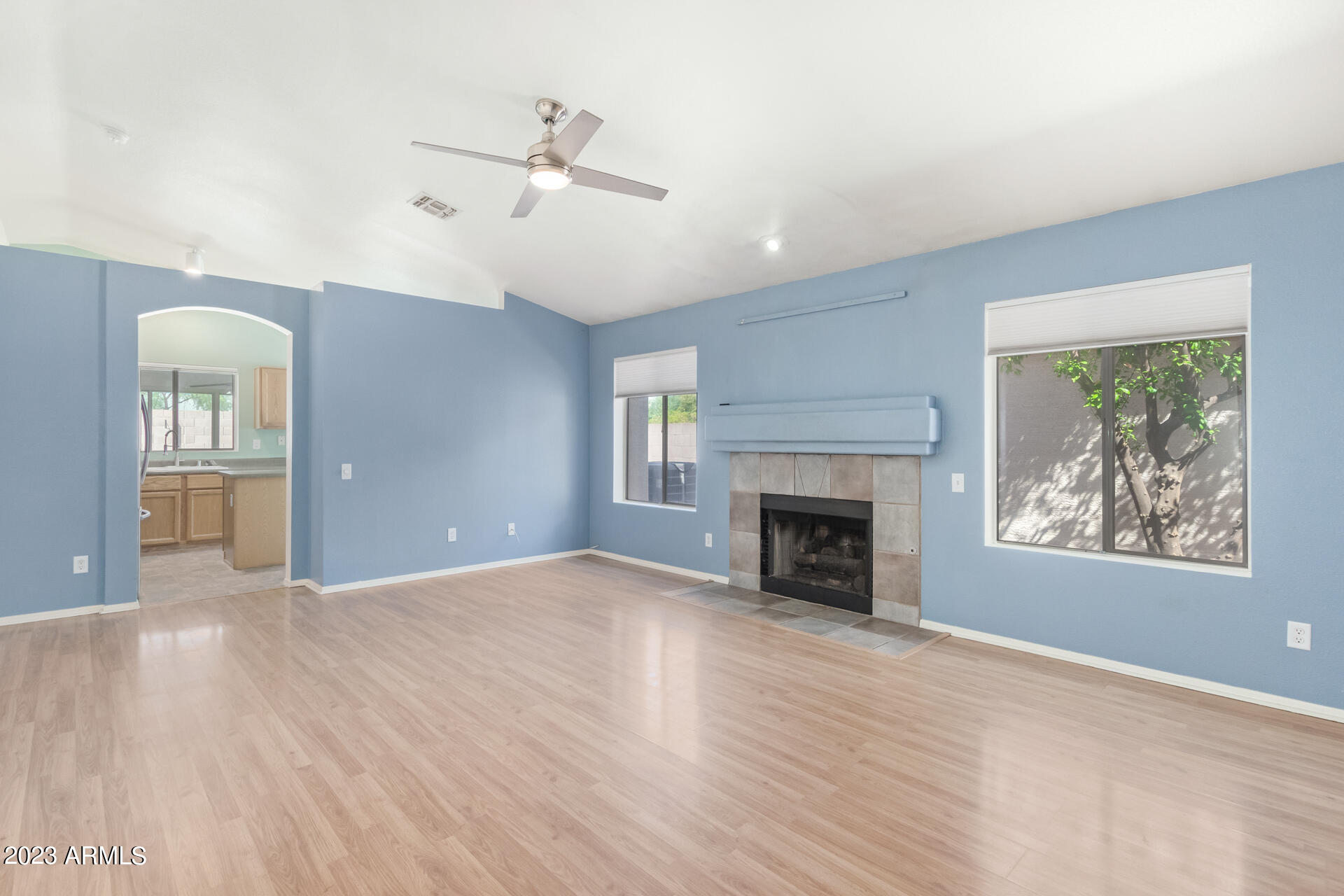 4728 E MOUNTAIN VISTA Drive