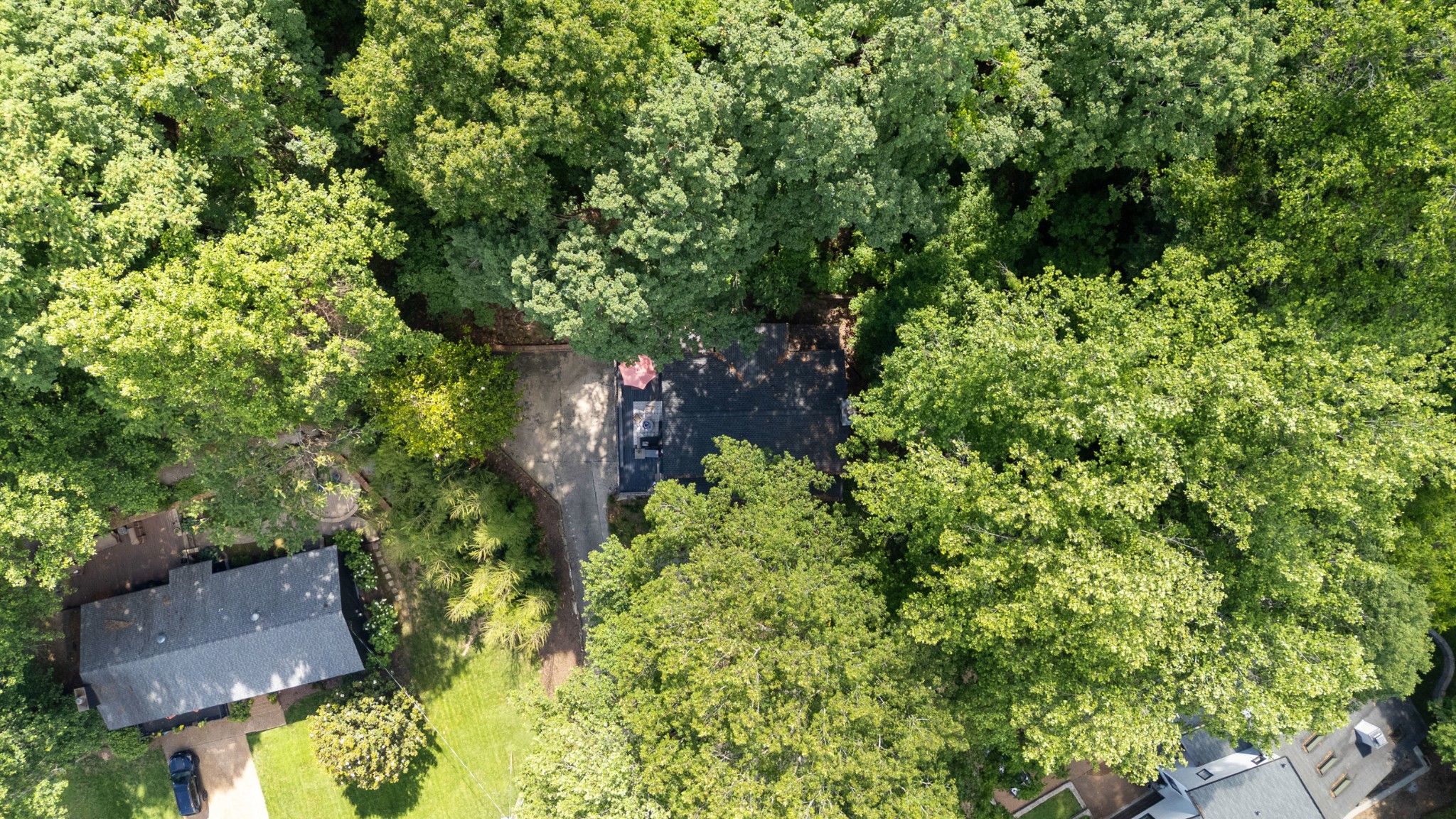 5131 Prince Phillip Cv