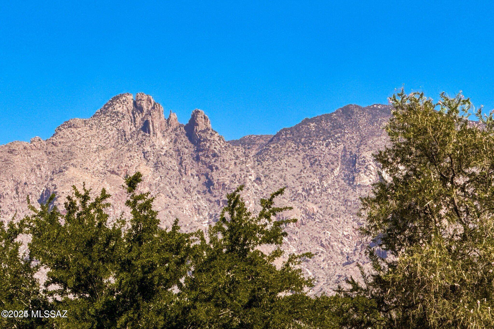 2028 E River Road Unit: 205