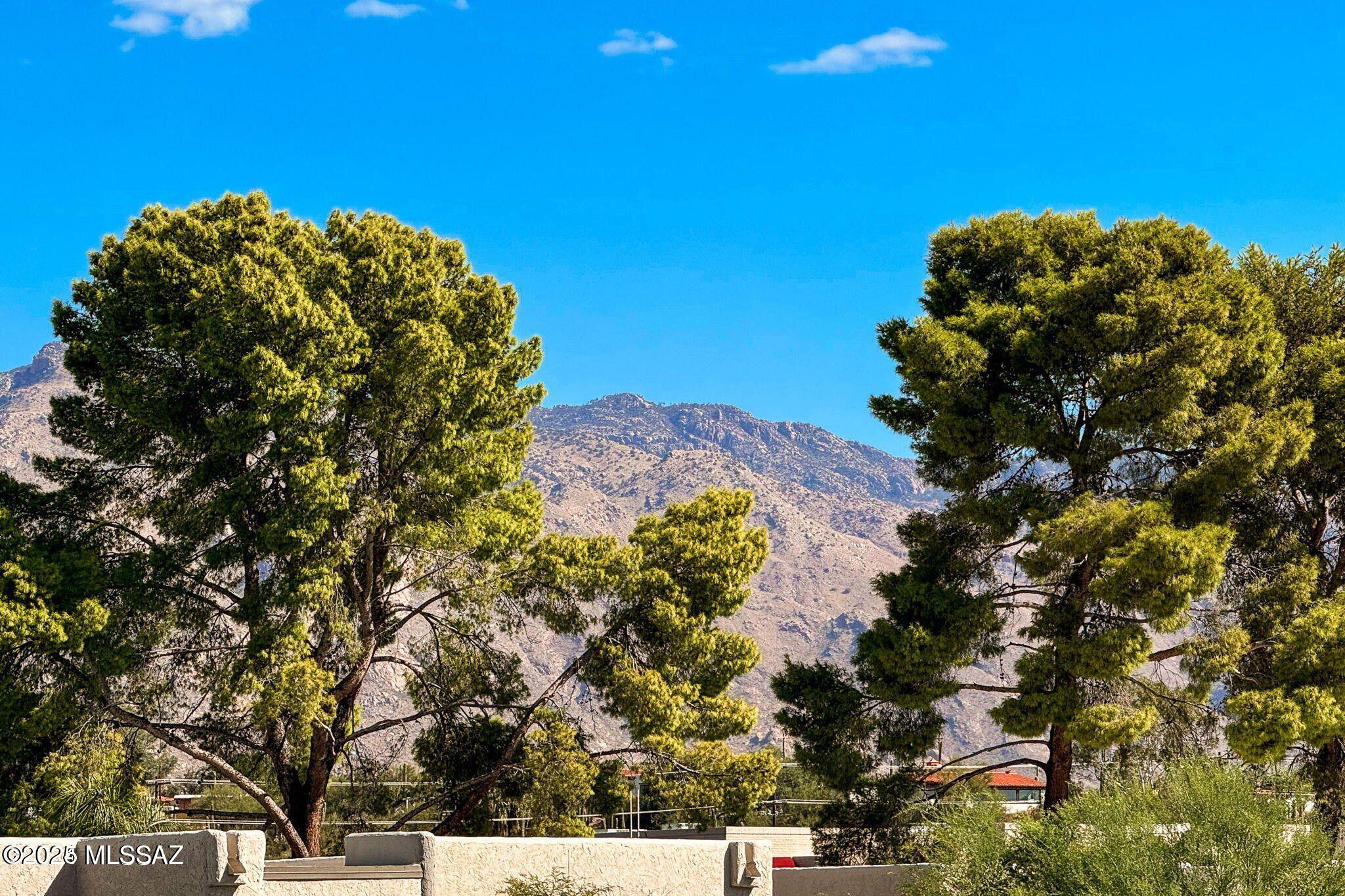 2028 E River Road Unit: 205