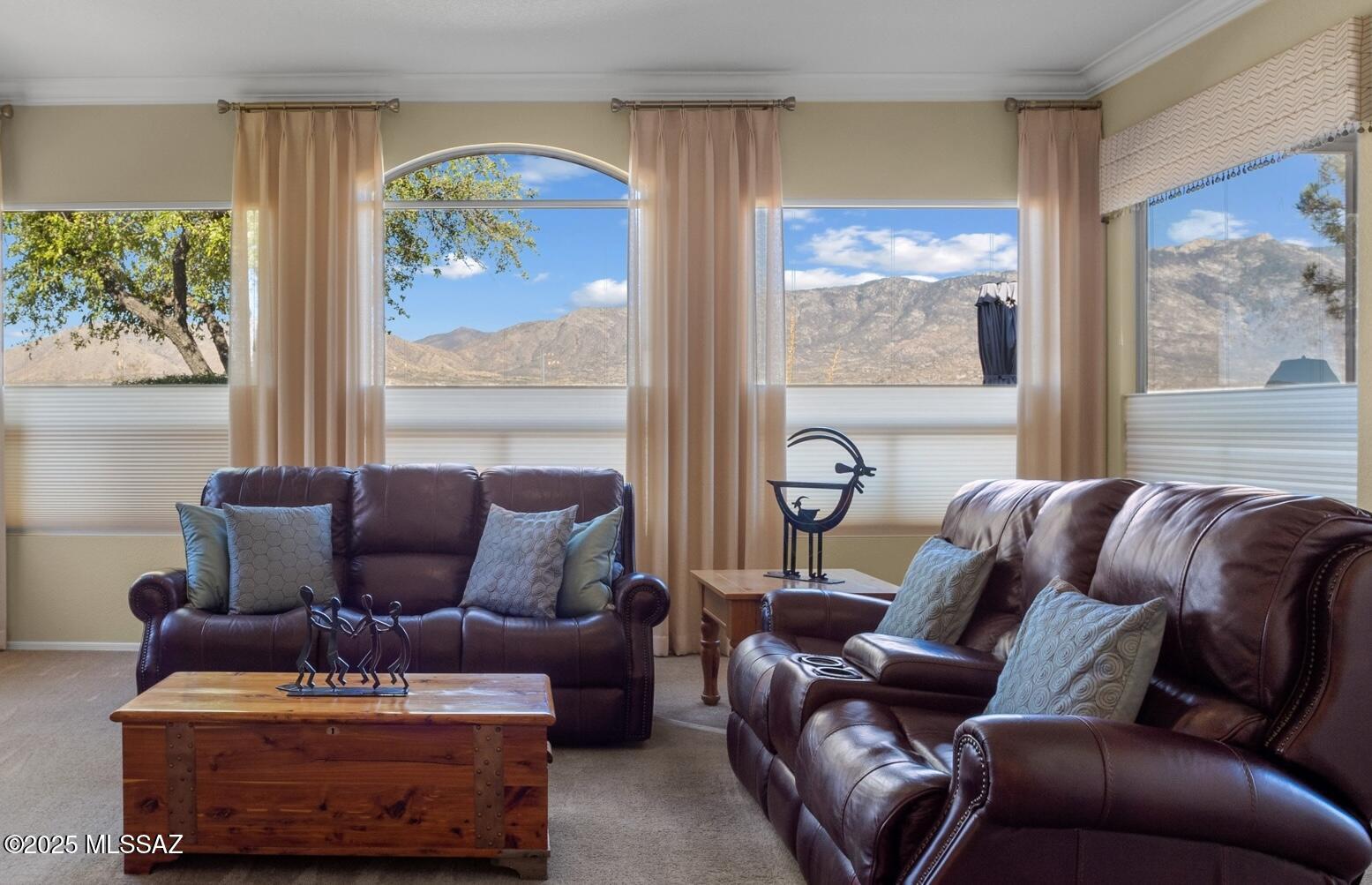 38893 S Tranquil Drive