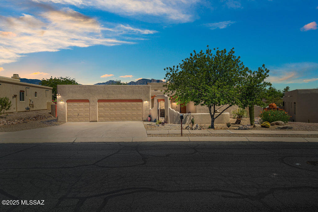 11740 N Diamond Cholla Place