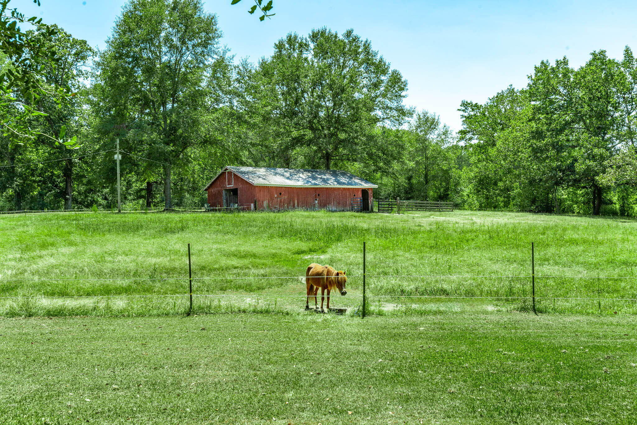 233 J D Broome Rd.