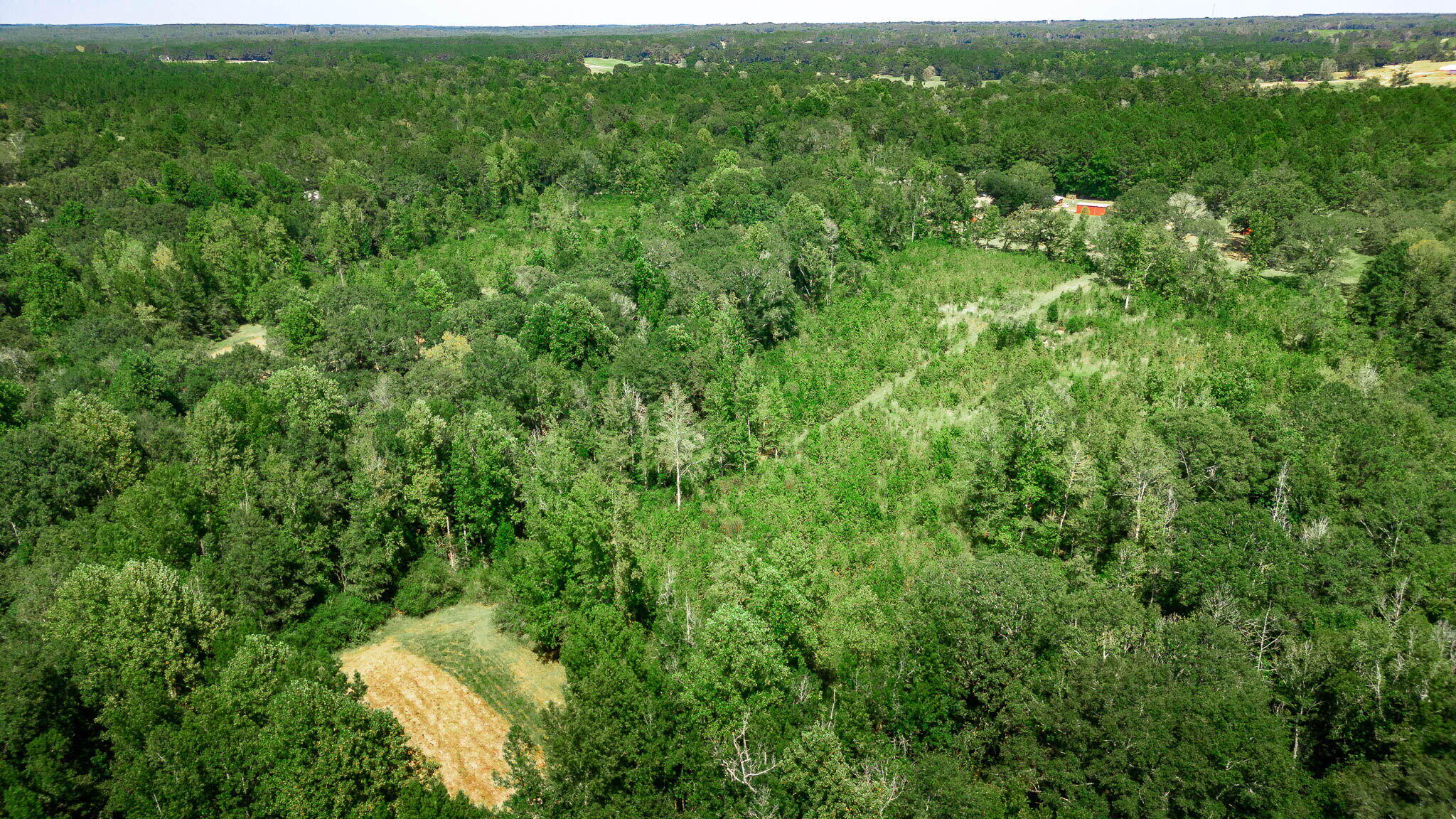 233 J D Broome Rd.