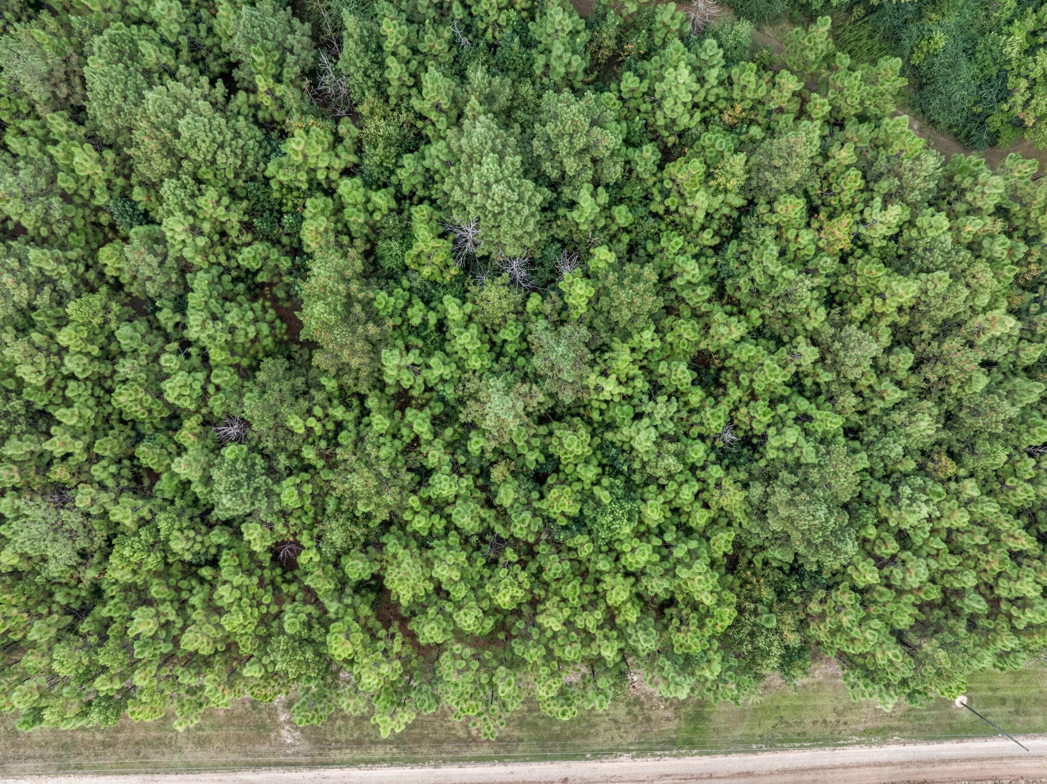 000 Burnt Bridge Rd.