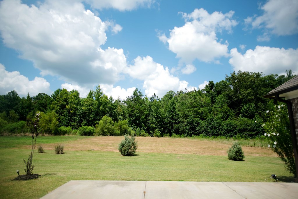 2050 Pebble Creek Loop