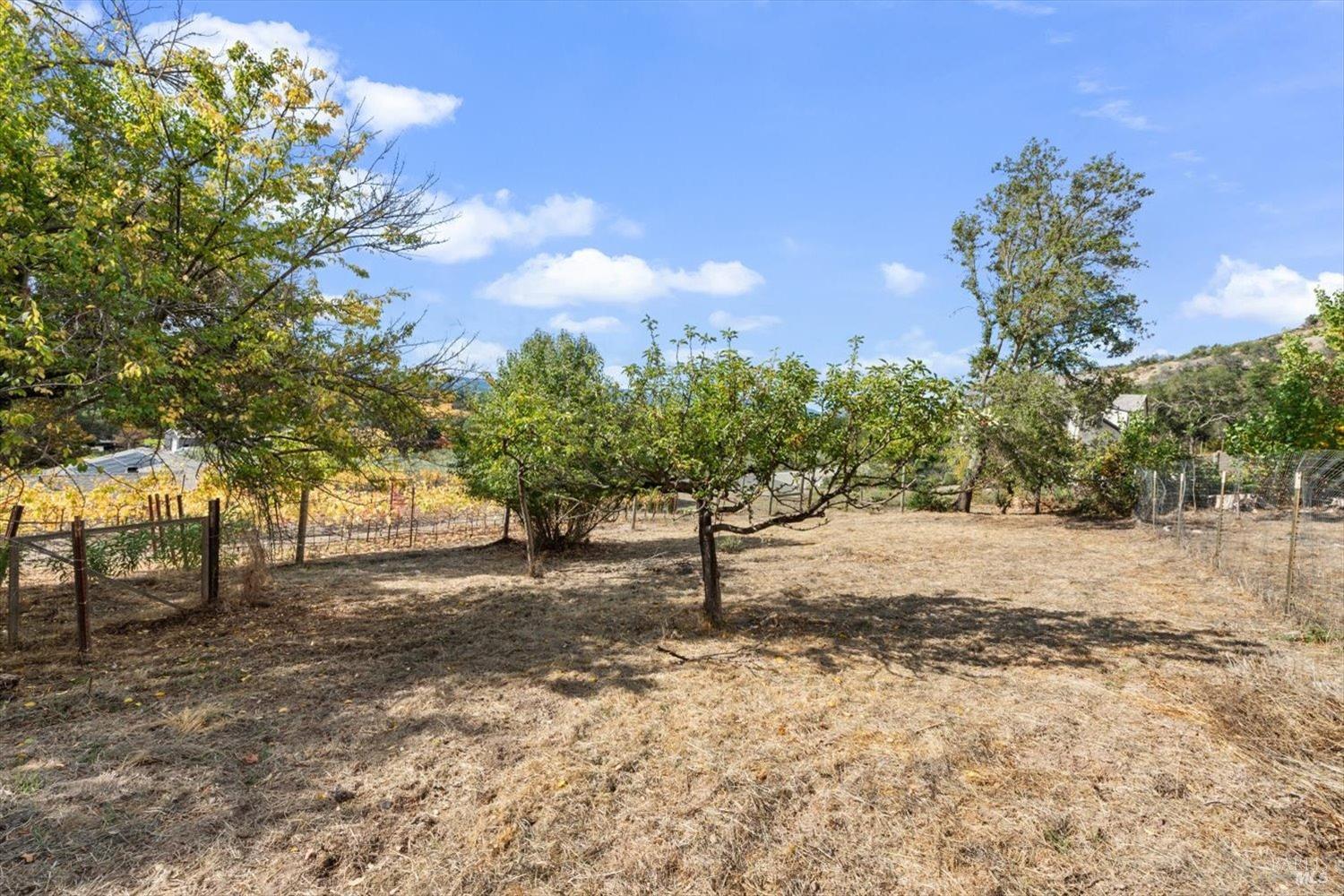 1135 Mount George Avenue