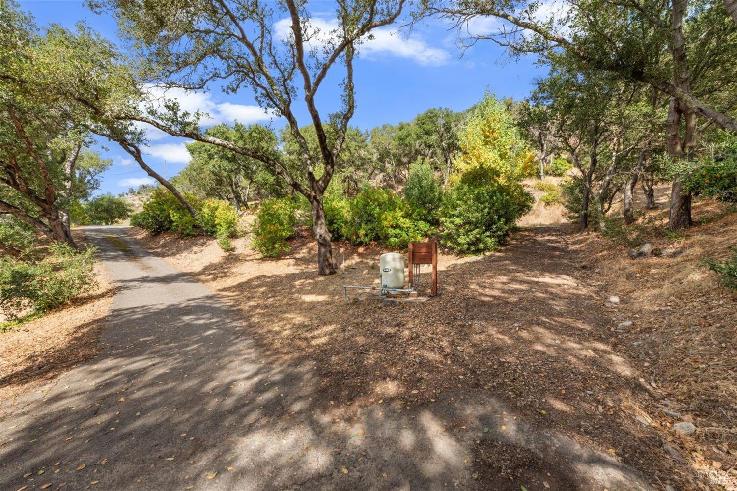 1135 Mount George Avenue