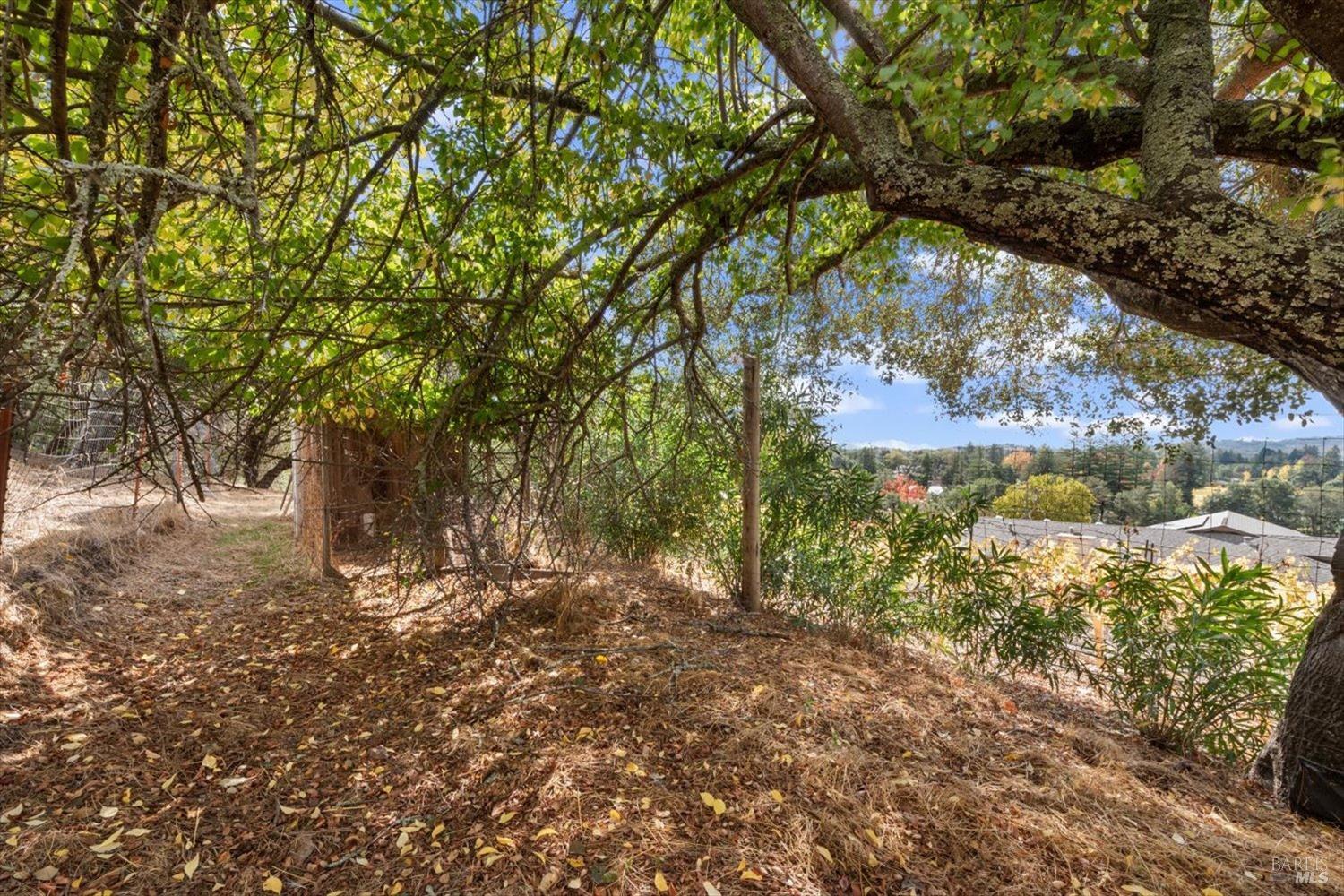 1135 Mount George Avenue