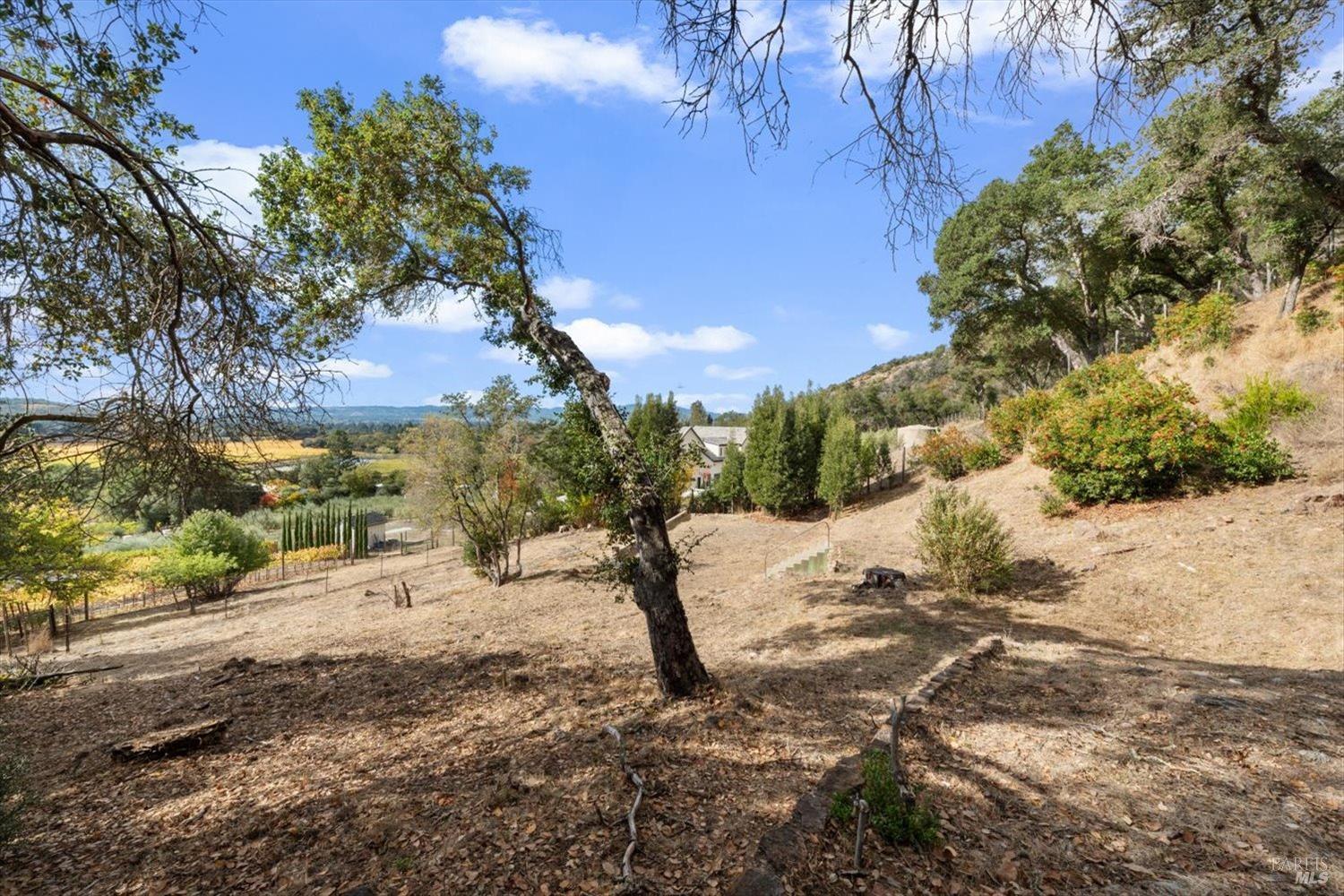 1135 Mount George Avenue