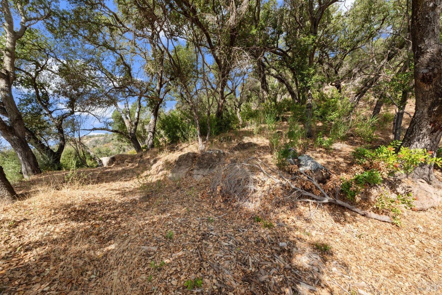 1135 Mount George Avenue