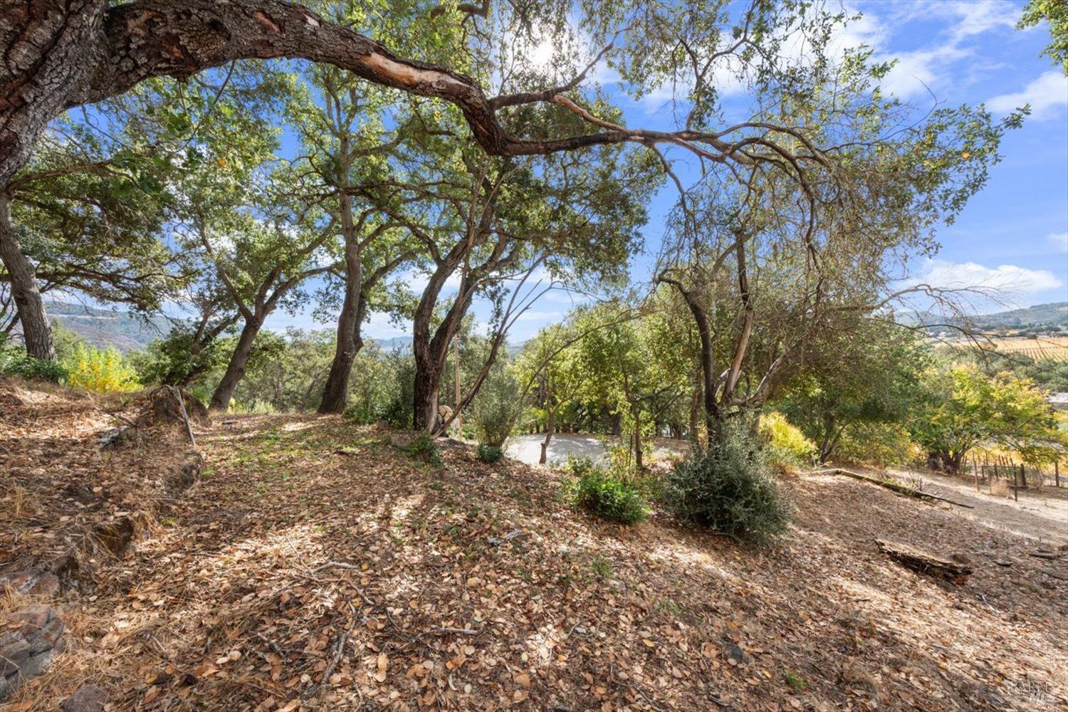 1135 Mount George Avenue