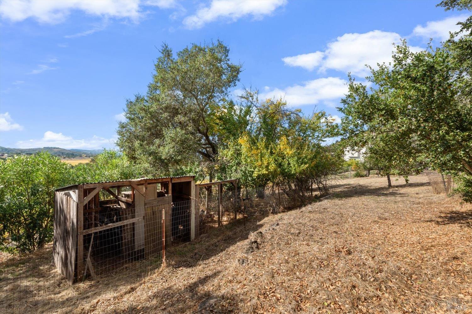 1135 Mount George Avenue