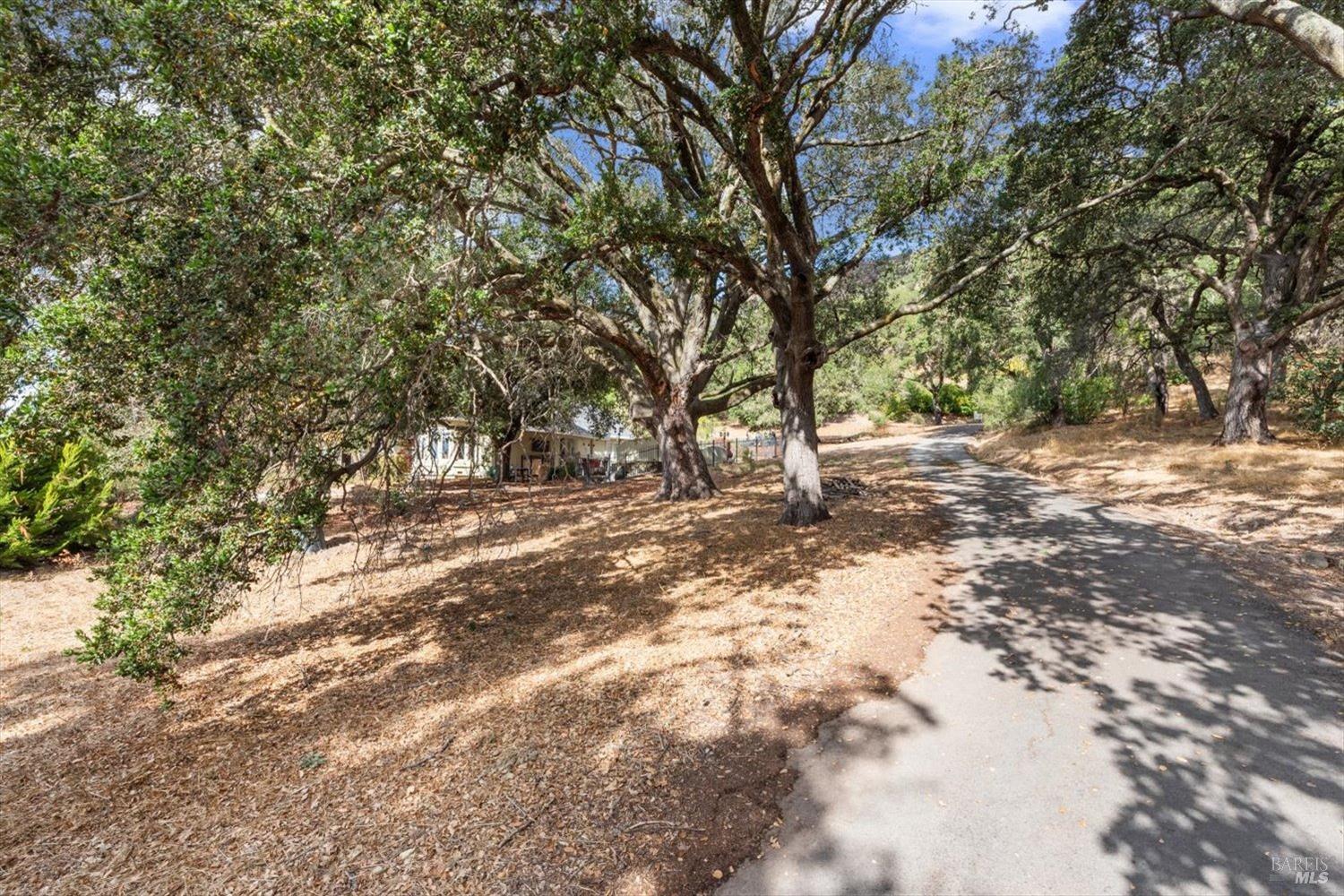 1135 Mount George Avenue