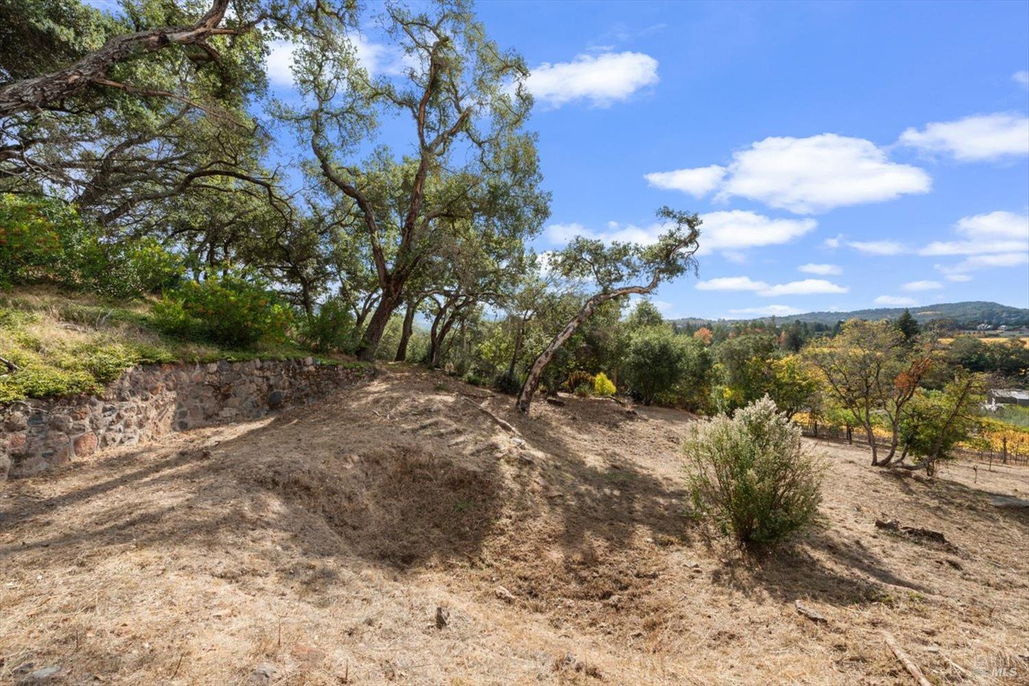 1135 Mount George Avenue