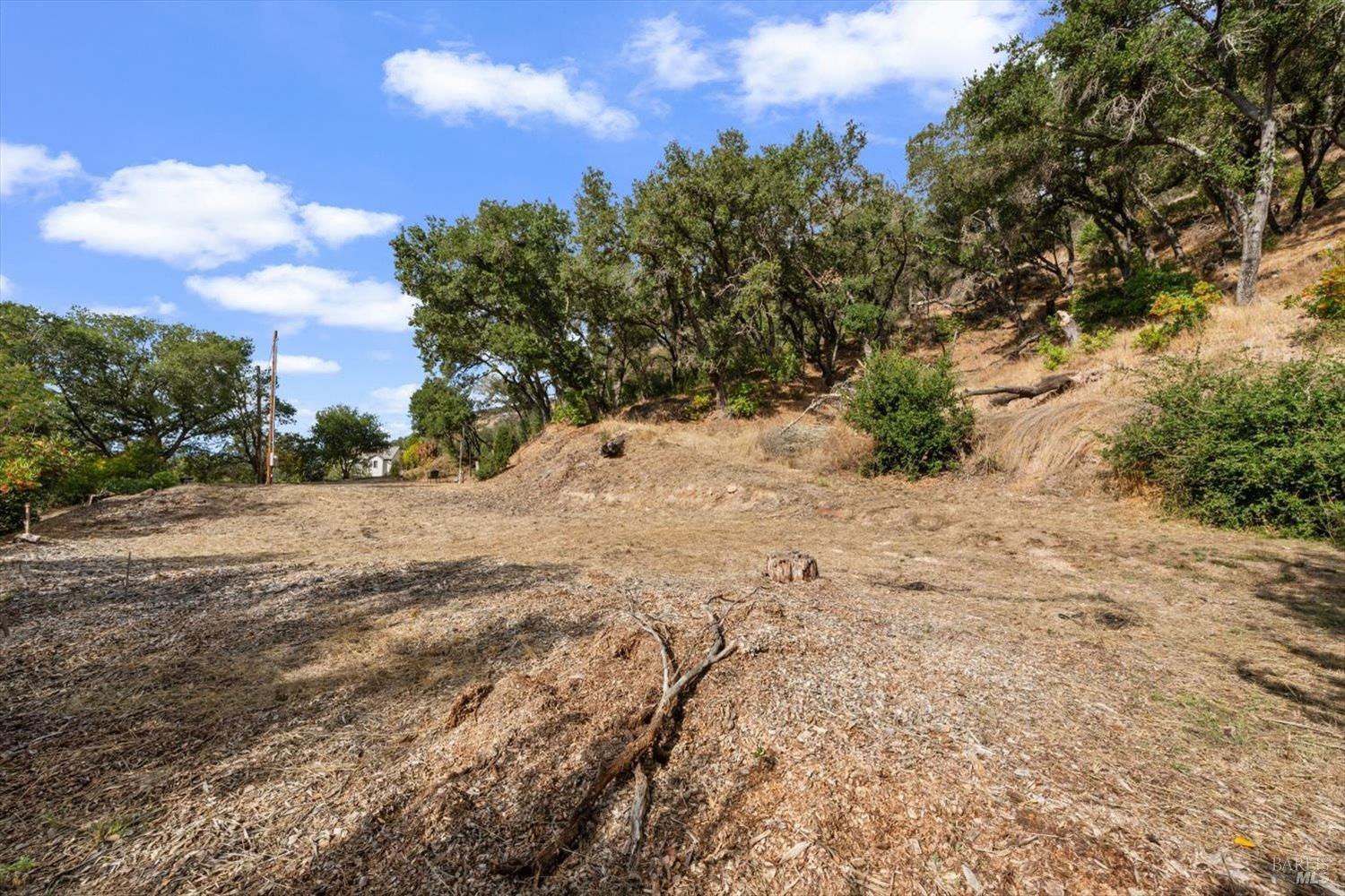 1135 Mount George Avenue