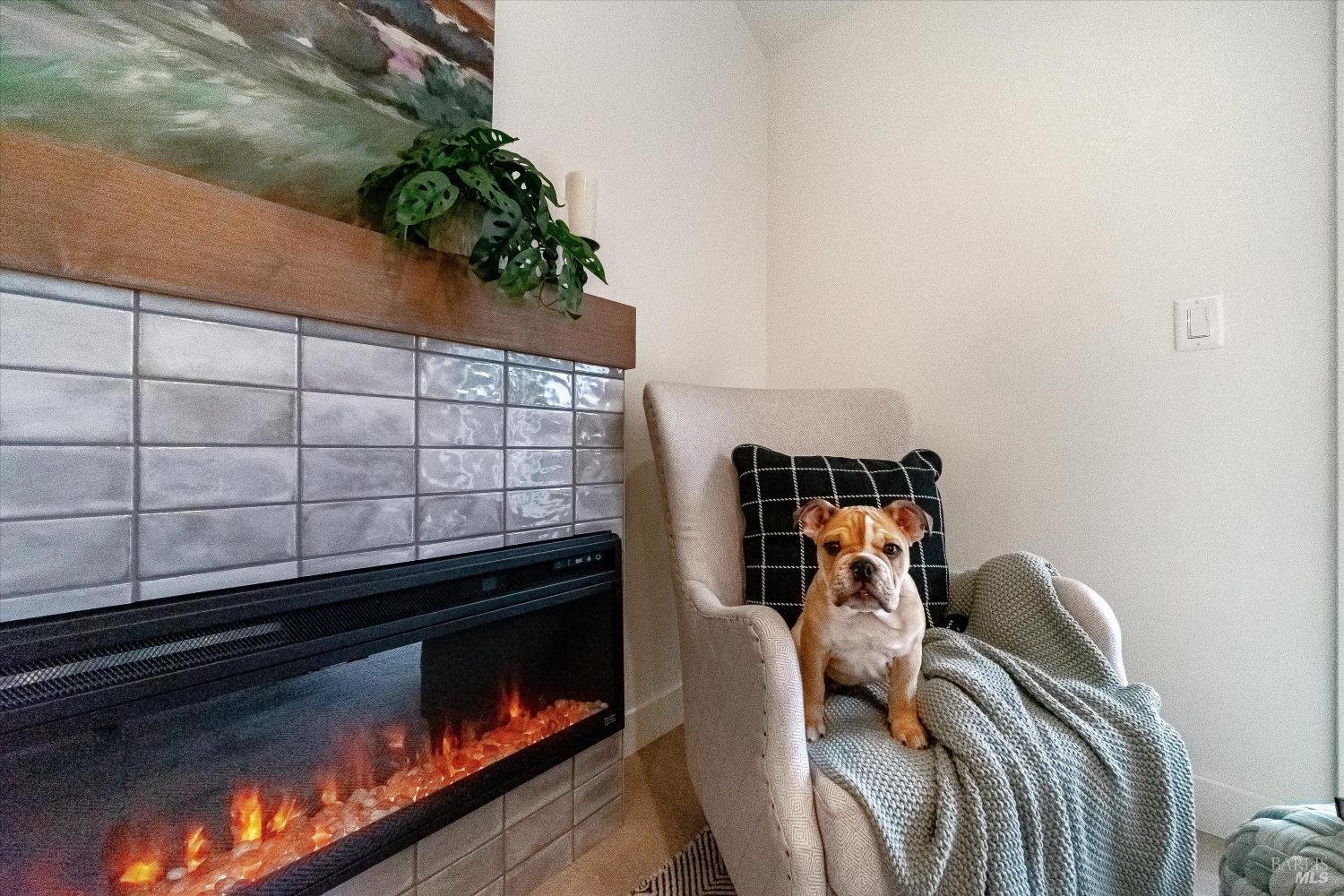 4413 Springwood Drive