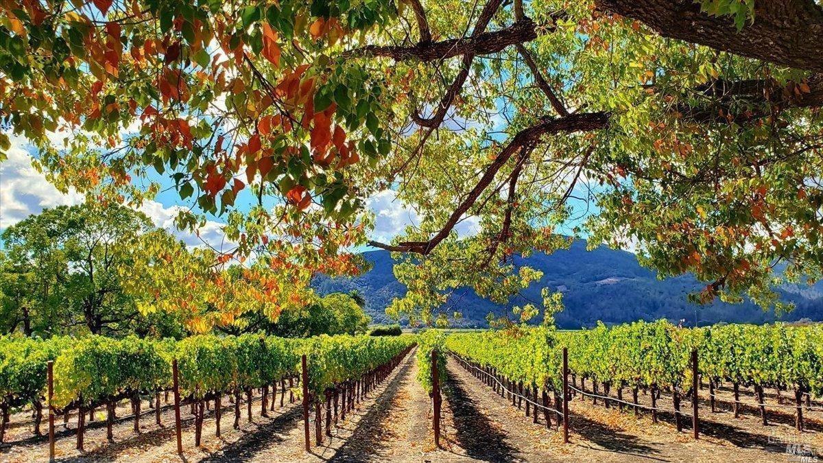 1990 Yountville Cross Rd