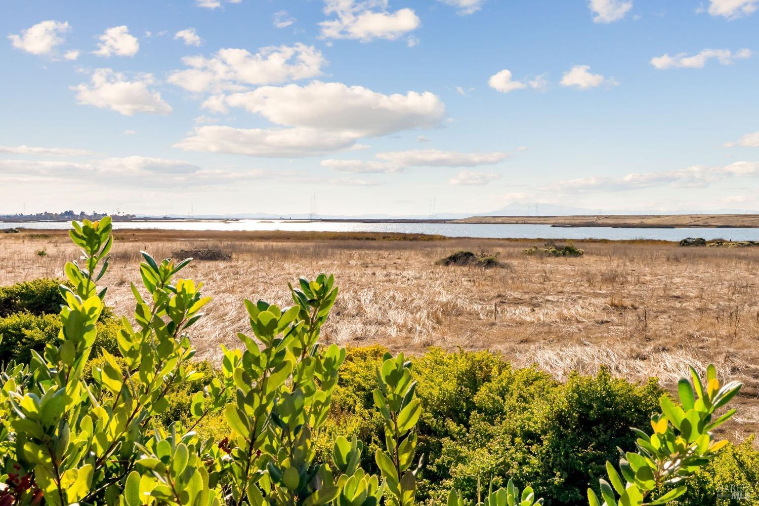 544 Wetlands Edge Rd