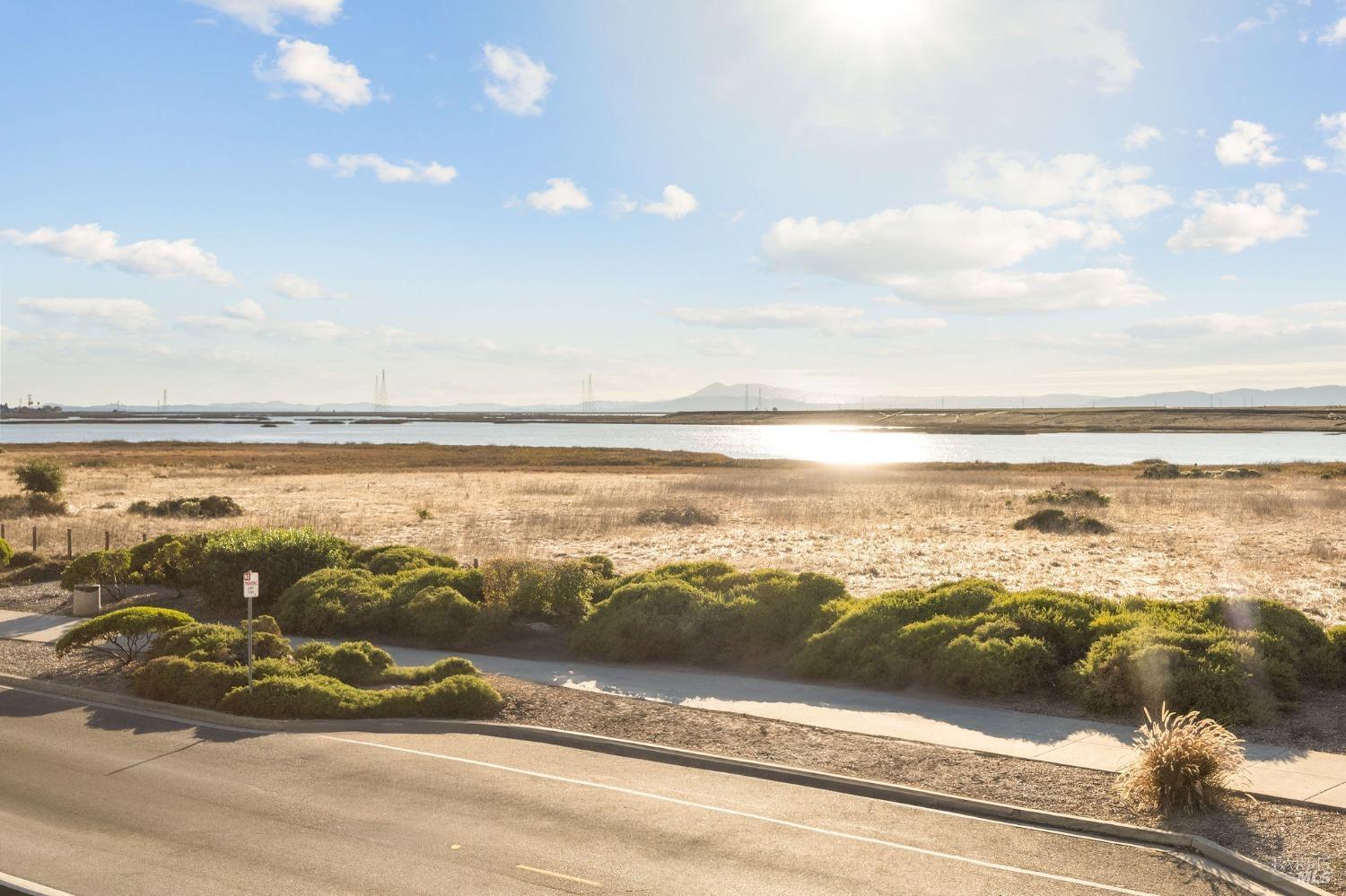 544 Wetlands Edge Rd