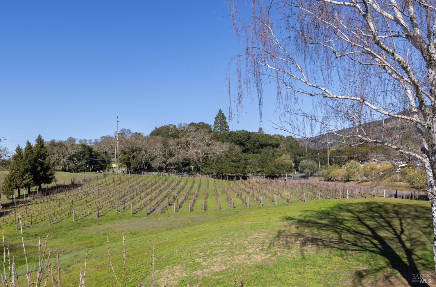 5205 Wild Horse Valley Rd