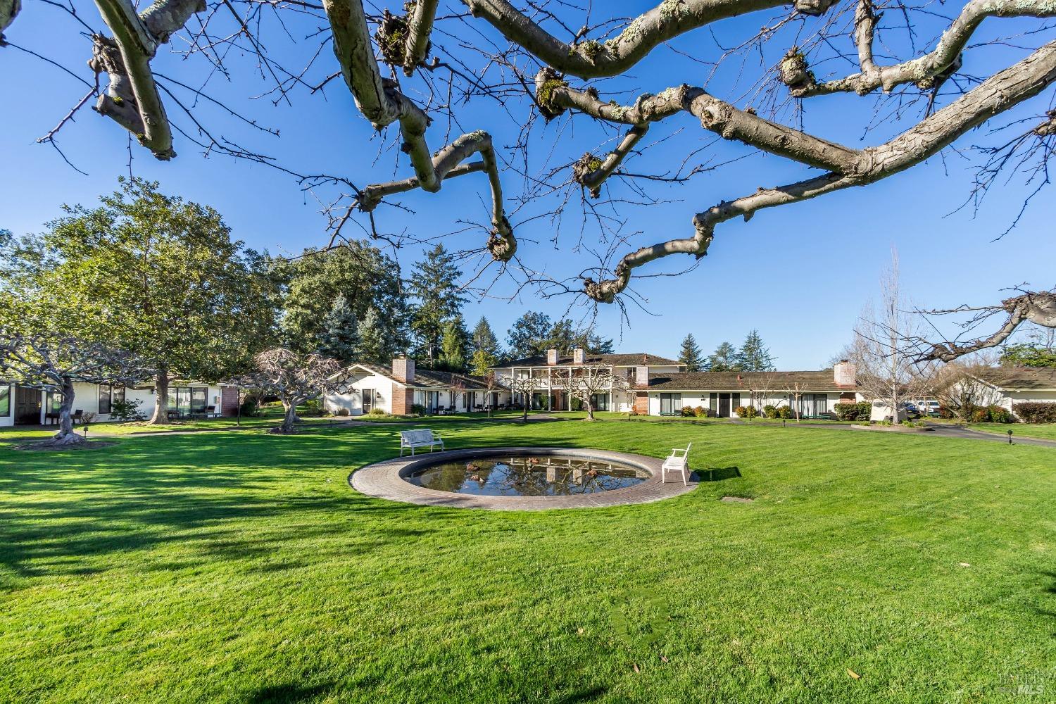 1600 Atlas Peak Rd #459