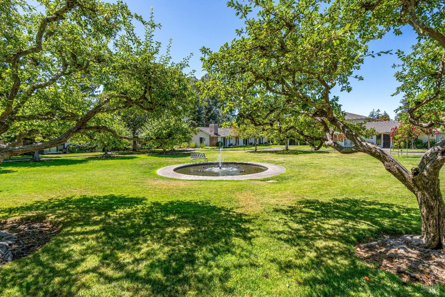 1600 Atlas Peak Rd #459