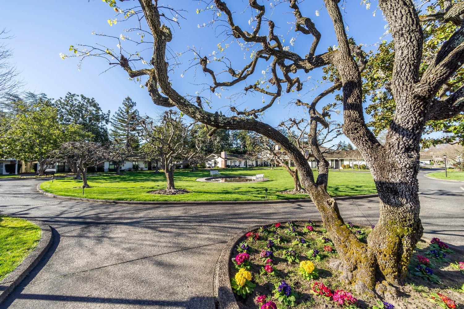 1600 Atlas Peak Rd #459