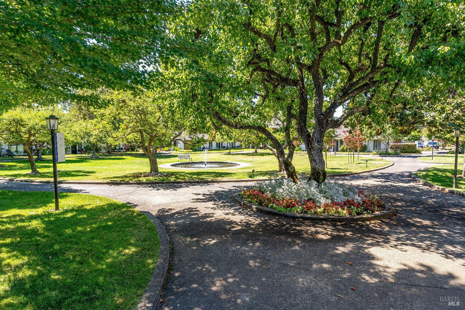 1600 Atlas Peak Rd #459