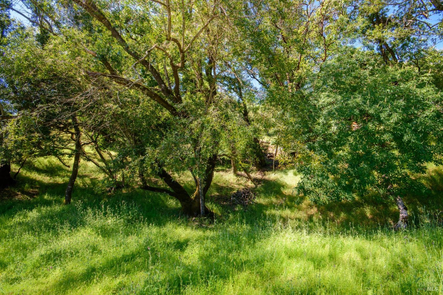 Sunnyhill Ln #173