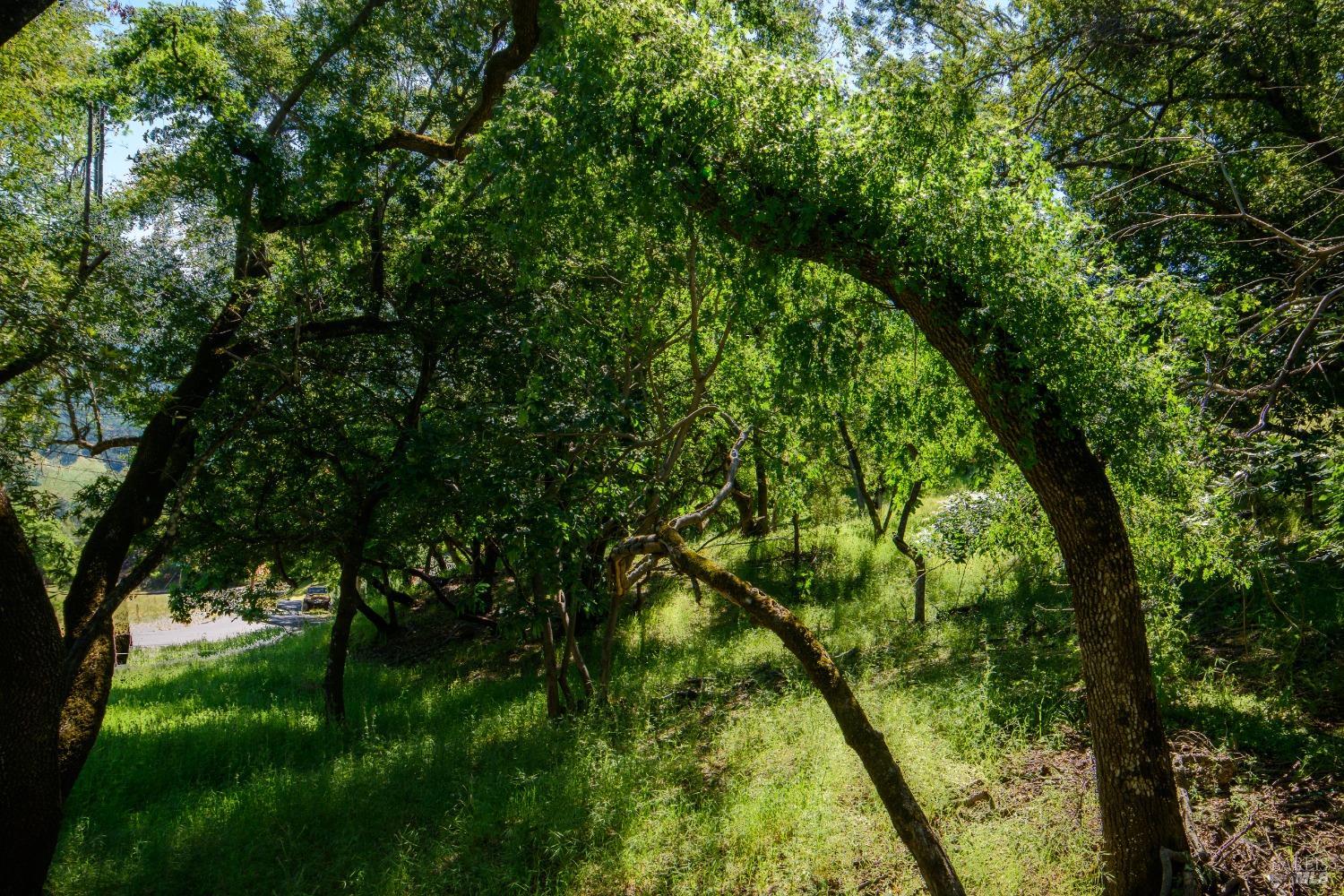 Sunnyhill Ln #173