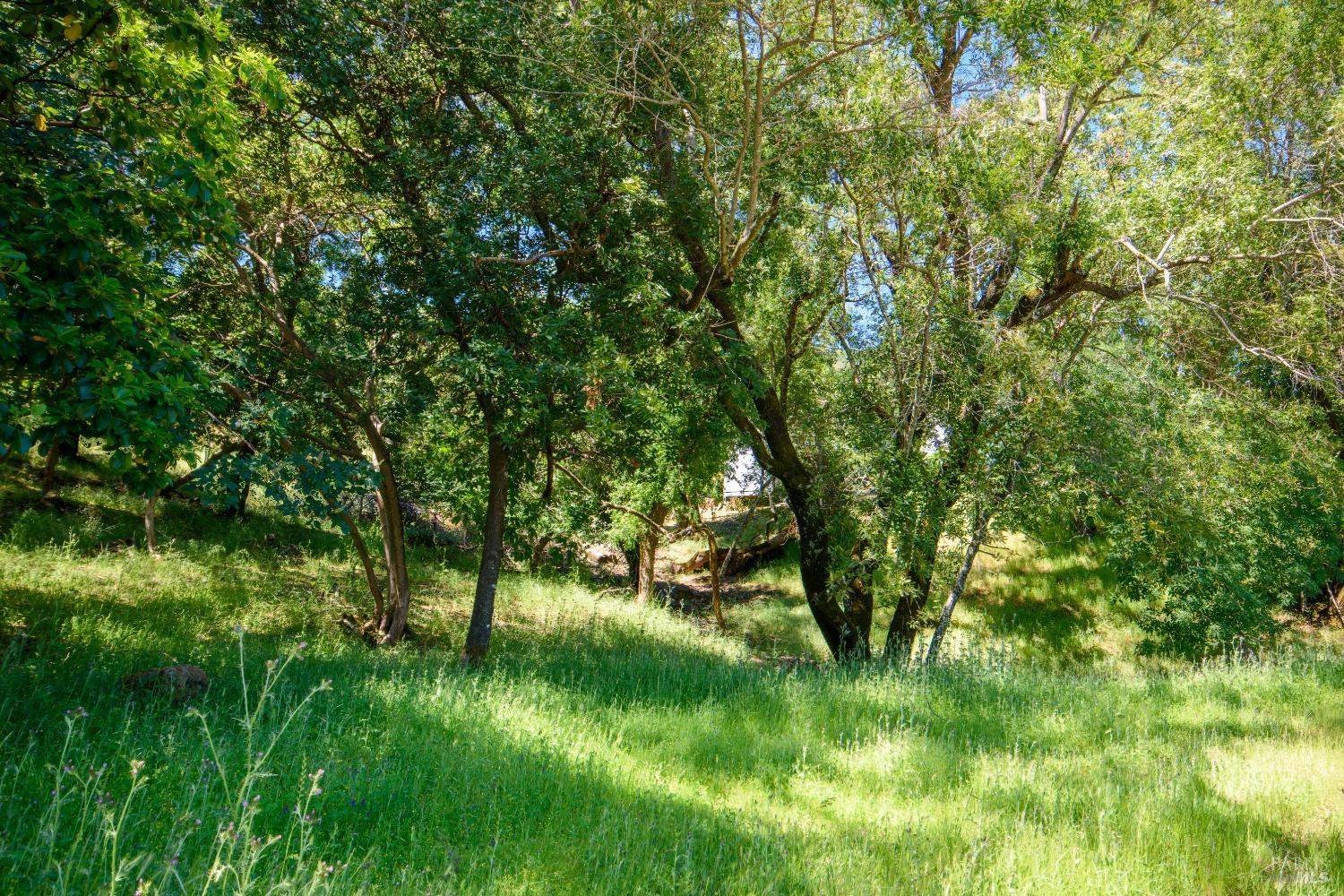 Sunnyhill Ln #173