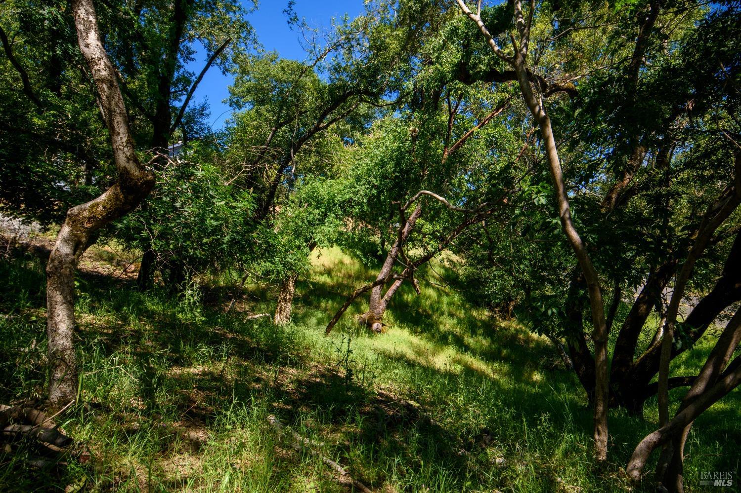 Sunnyhill Ln #173