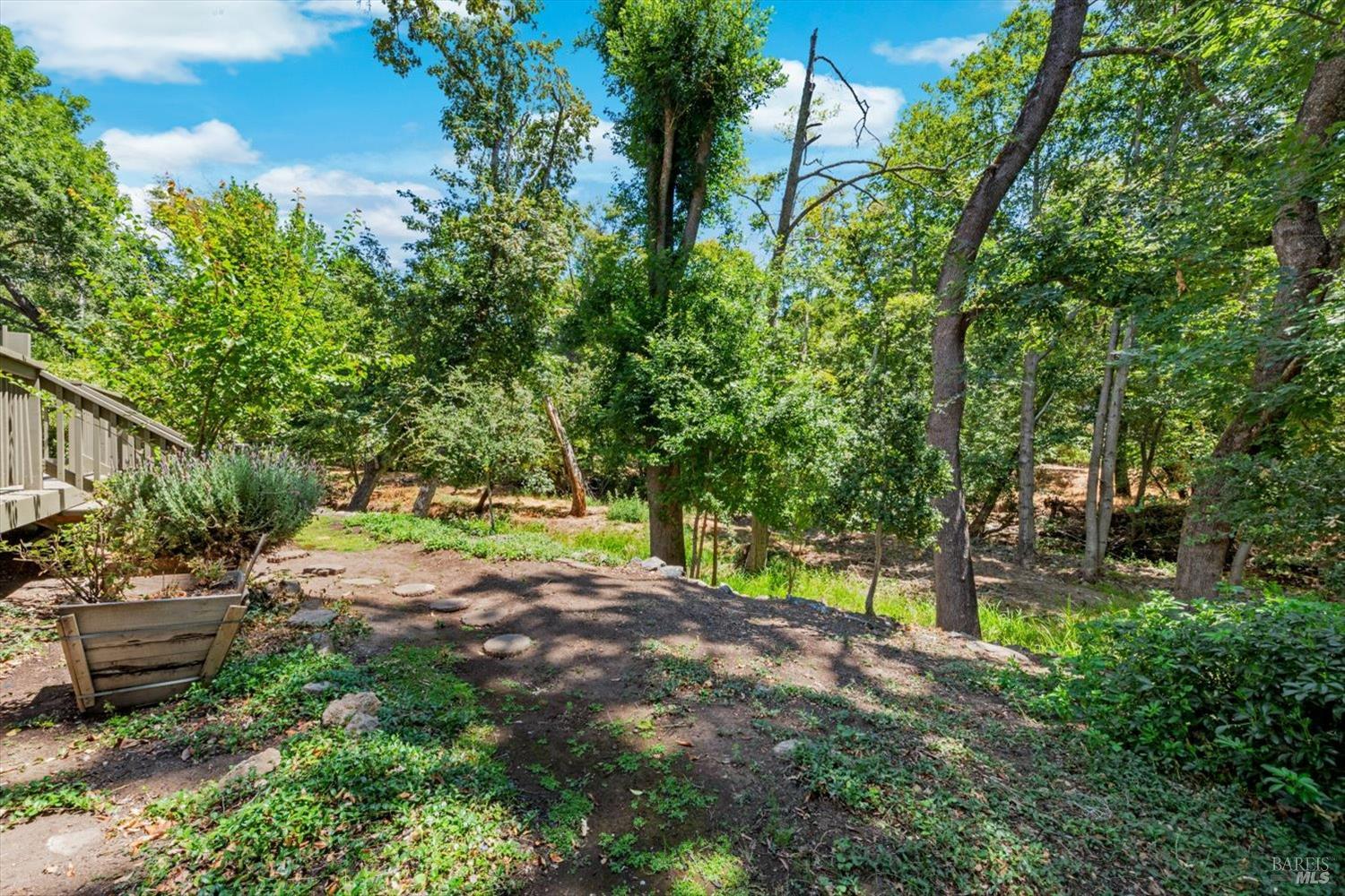 164 Bonnie Brook Dr