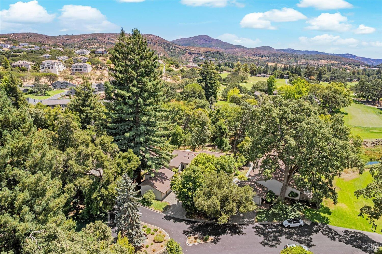 164 Bonnie Brook Dr